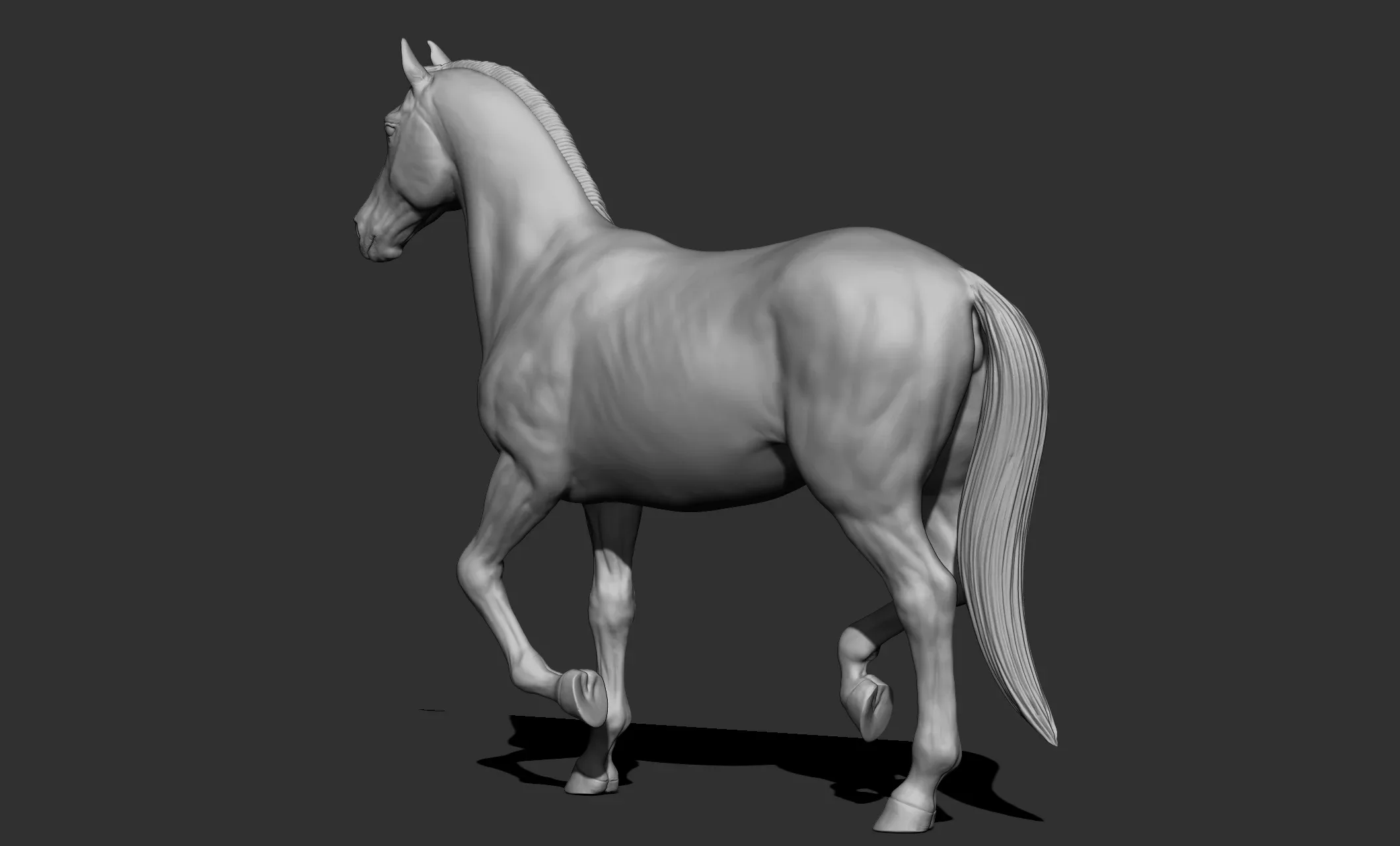 11 horse poses - 3D Models