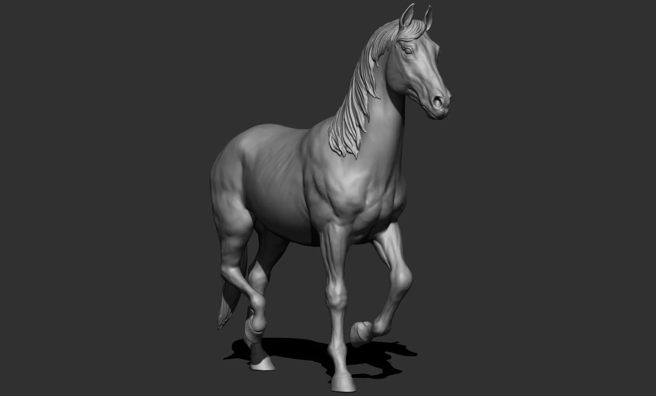 11 horse poses - 3D Models