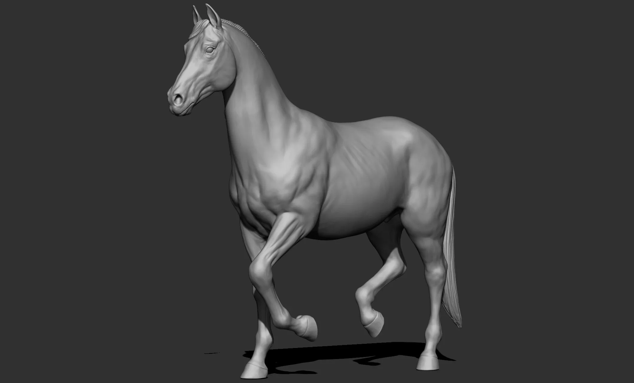 11 horse poses - 3D Models