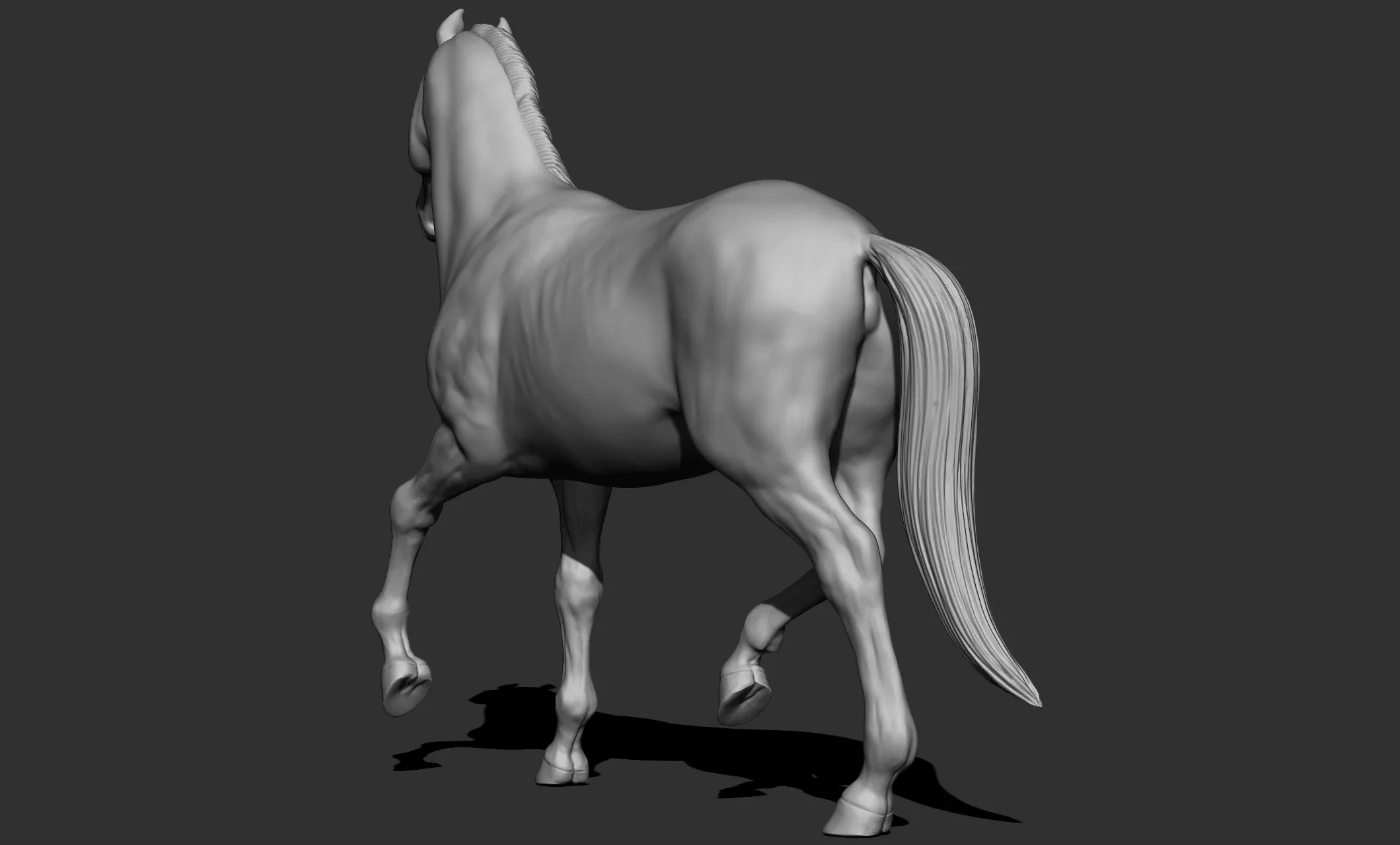 11 horse poses - 3D Models