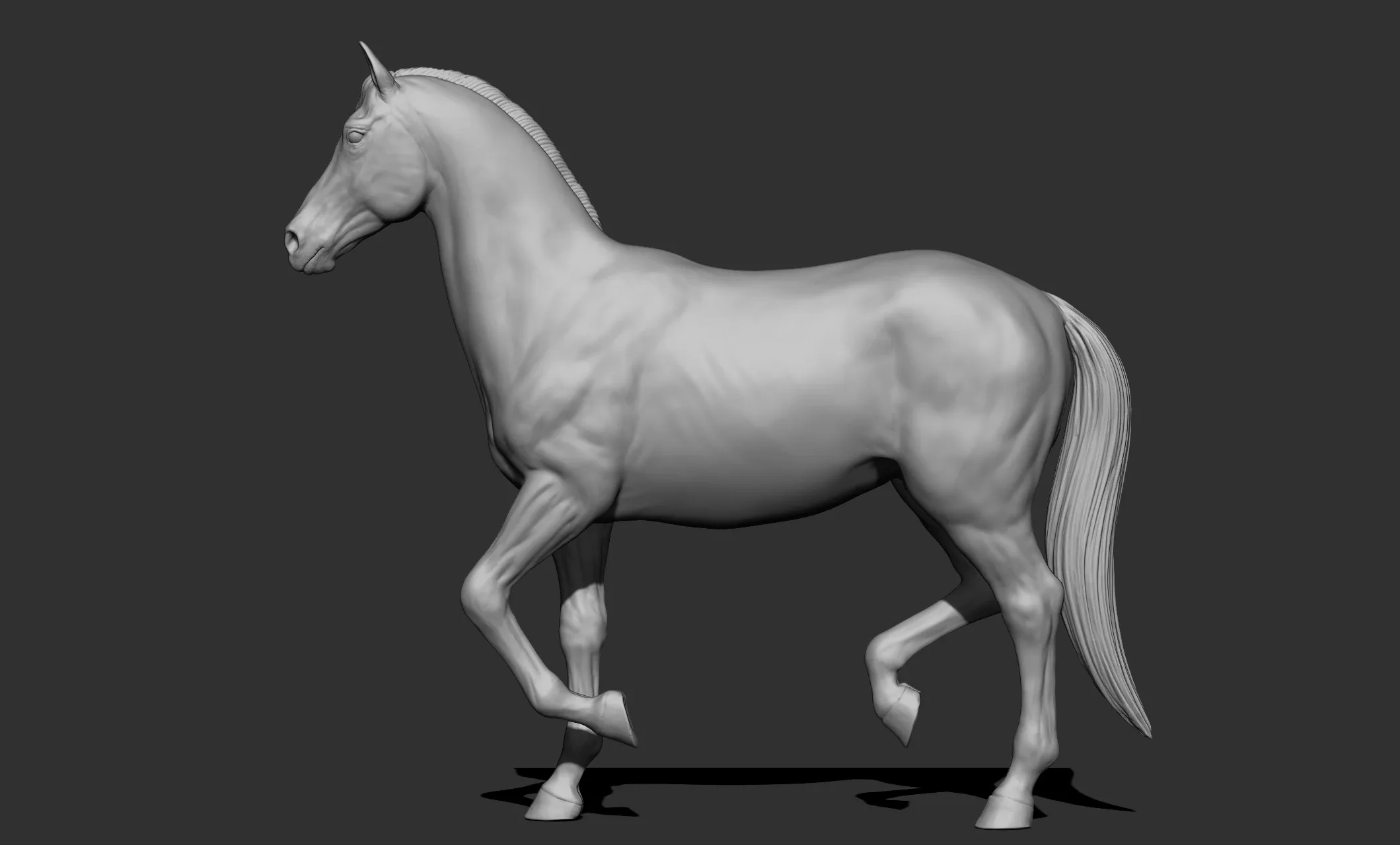 11 horse poses - 3D Models