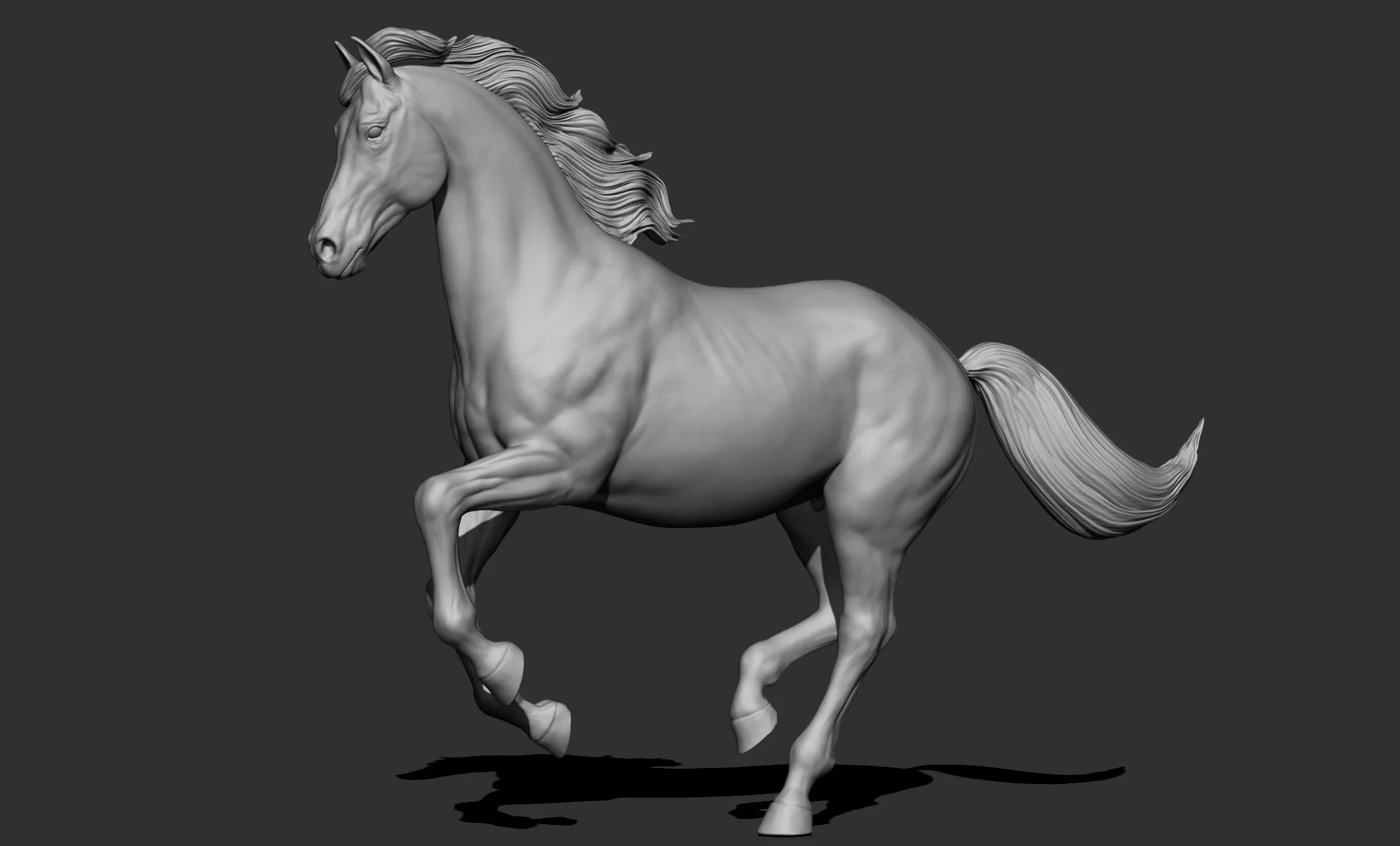 11 horse poses - 3D Models