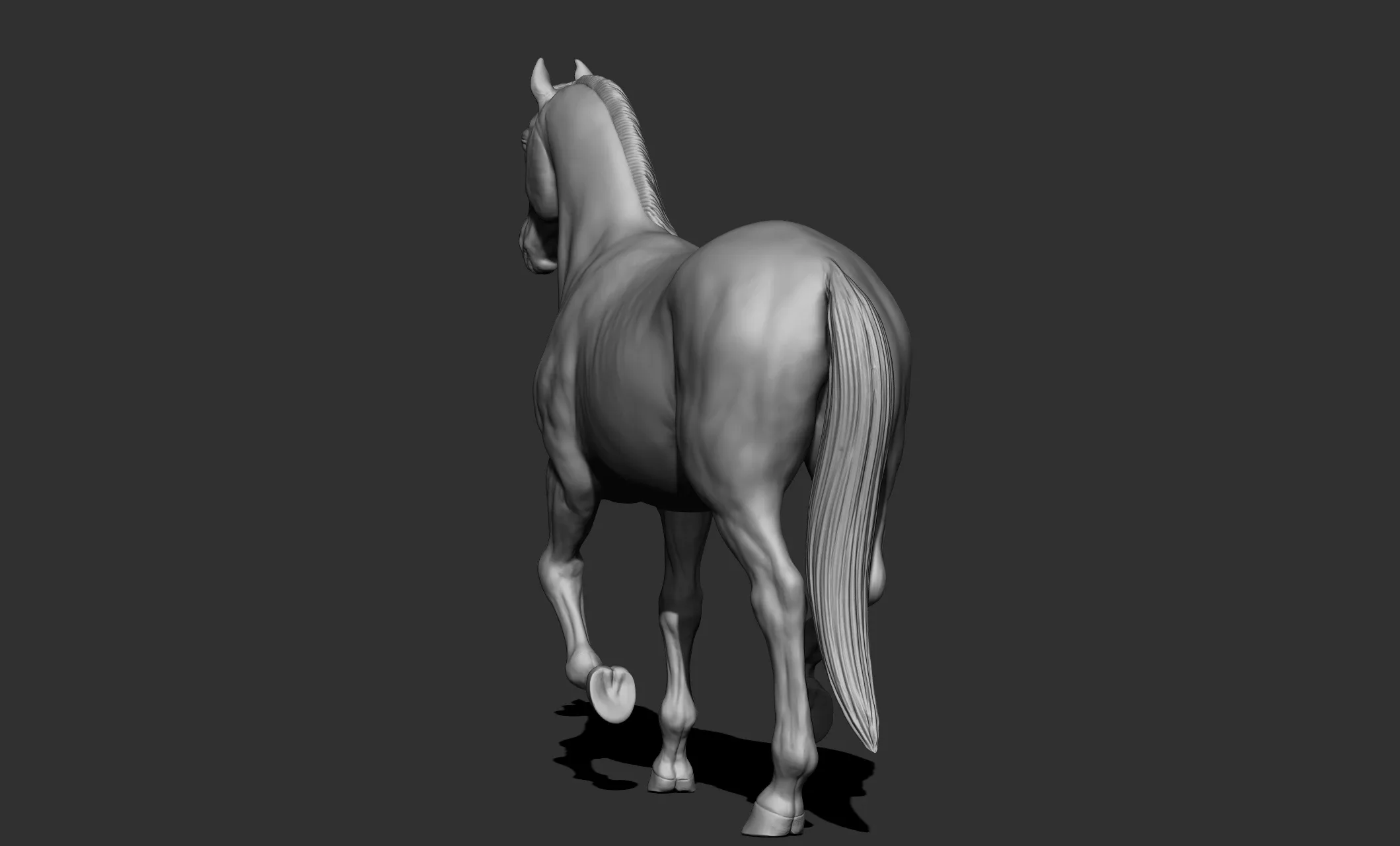 11 horse poses - 3D Models