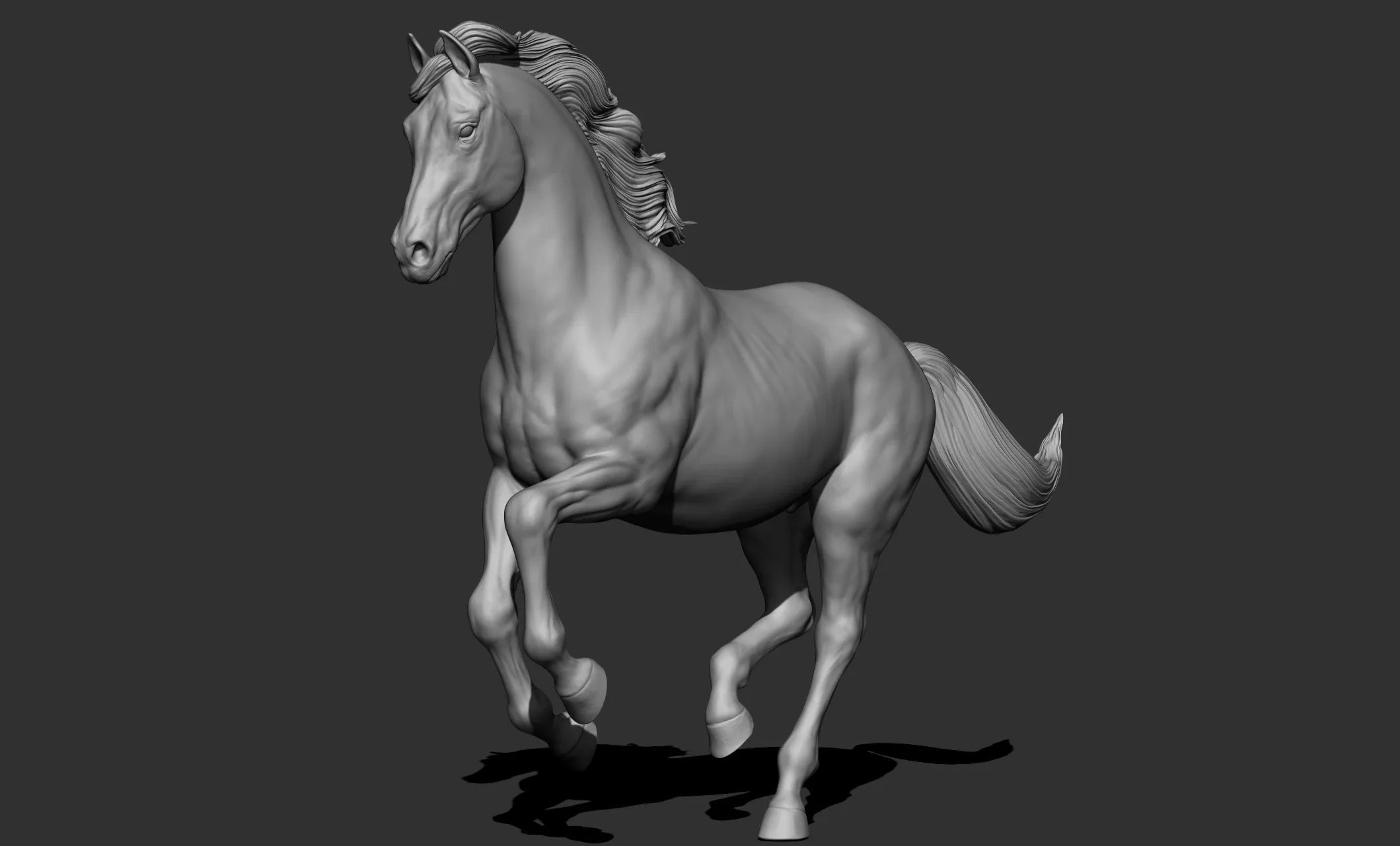 11 horse poses - 3D Models