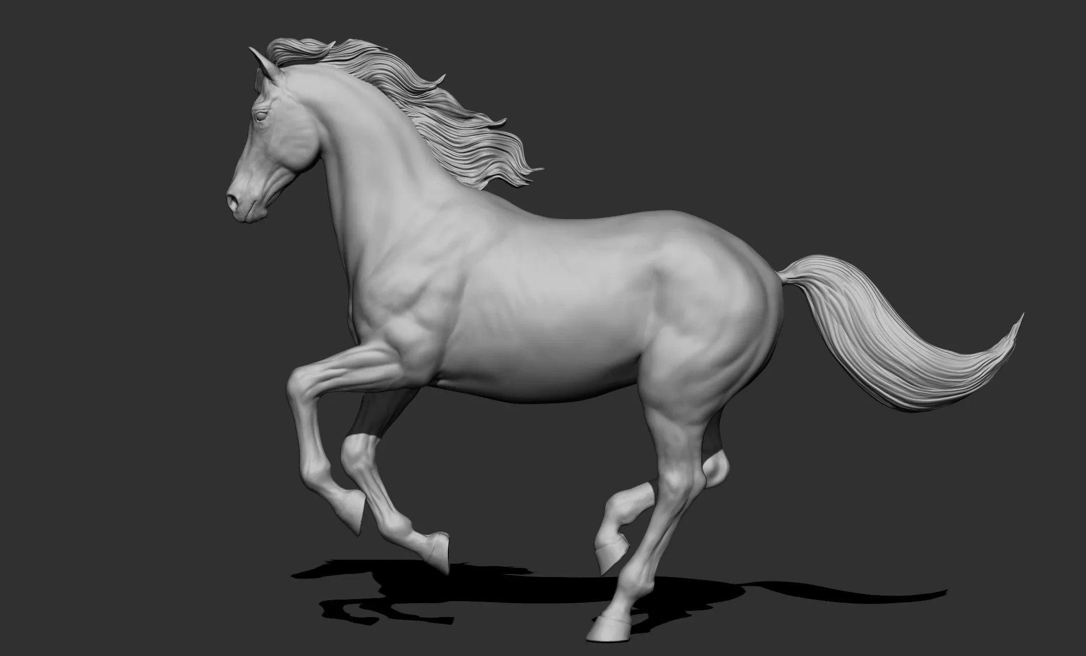 11 horse poses - 3D Models