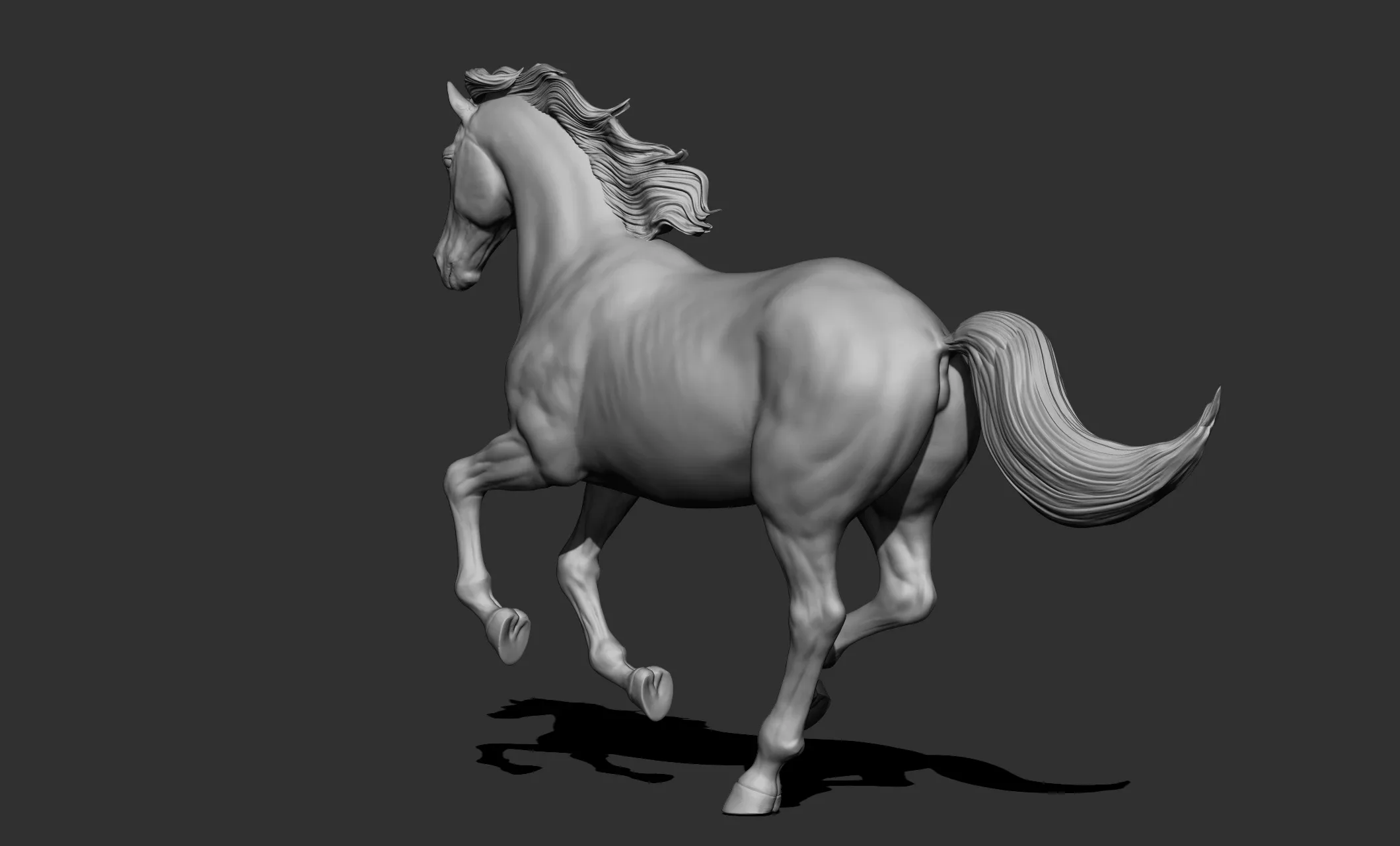 11 horse poses - 3D Models