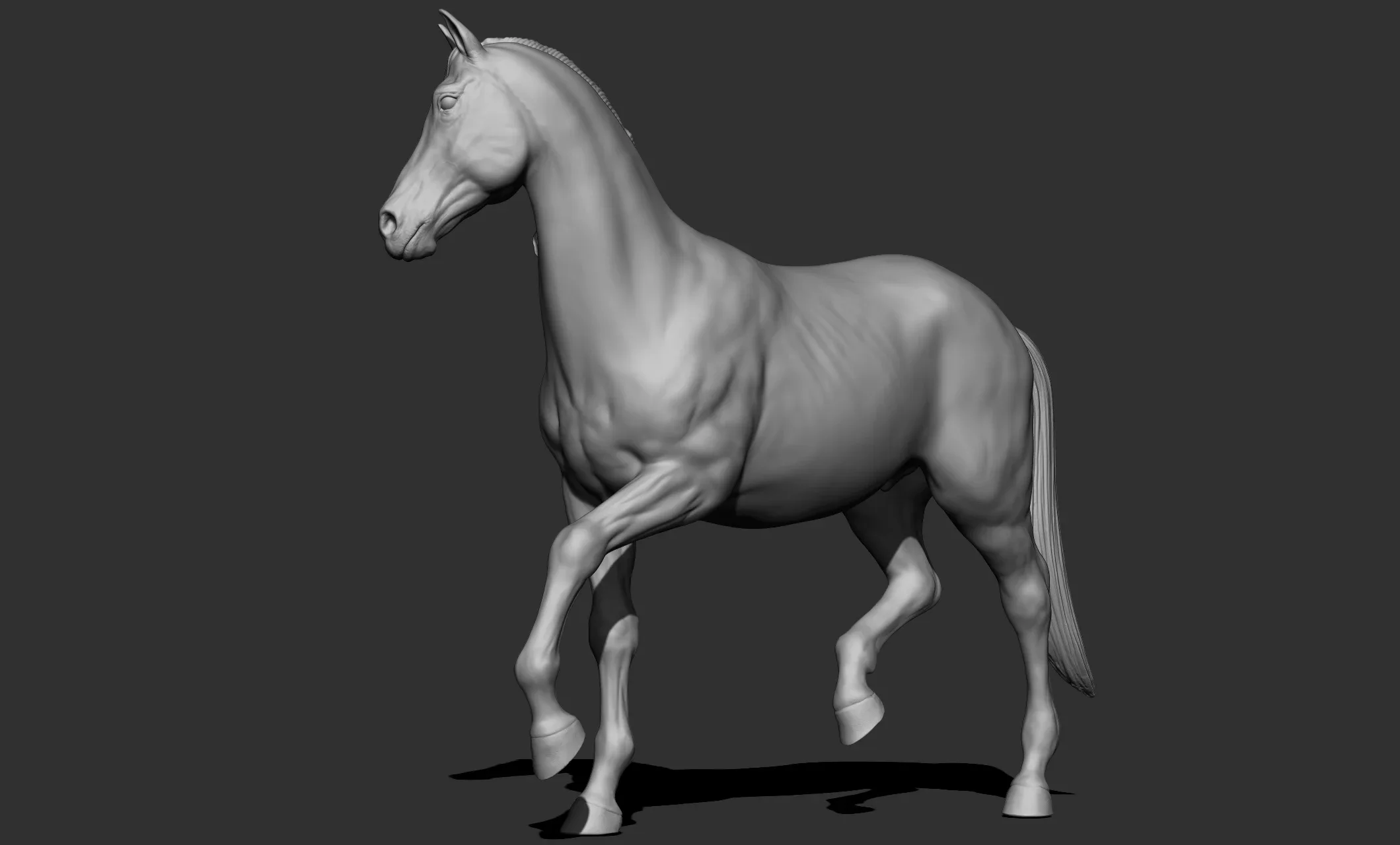 11 horse poses - 3D Models