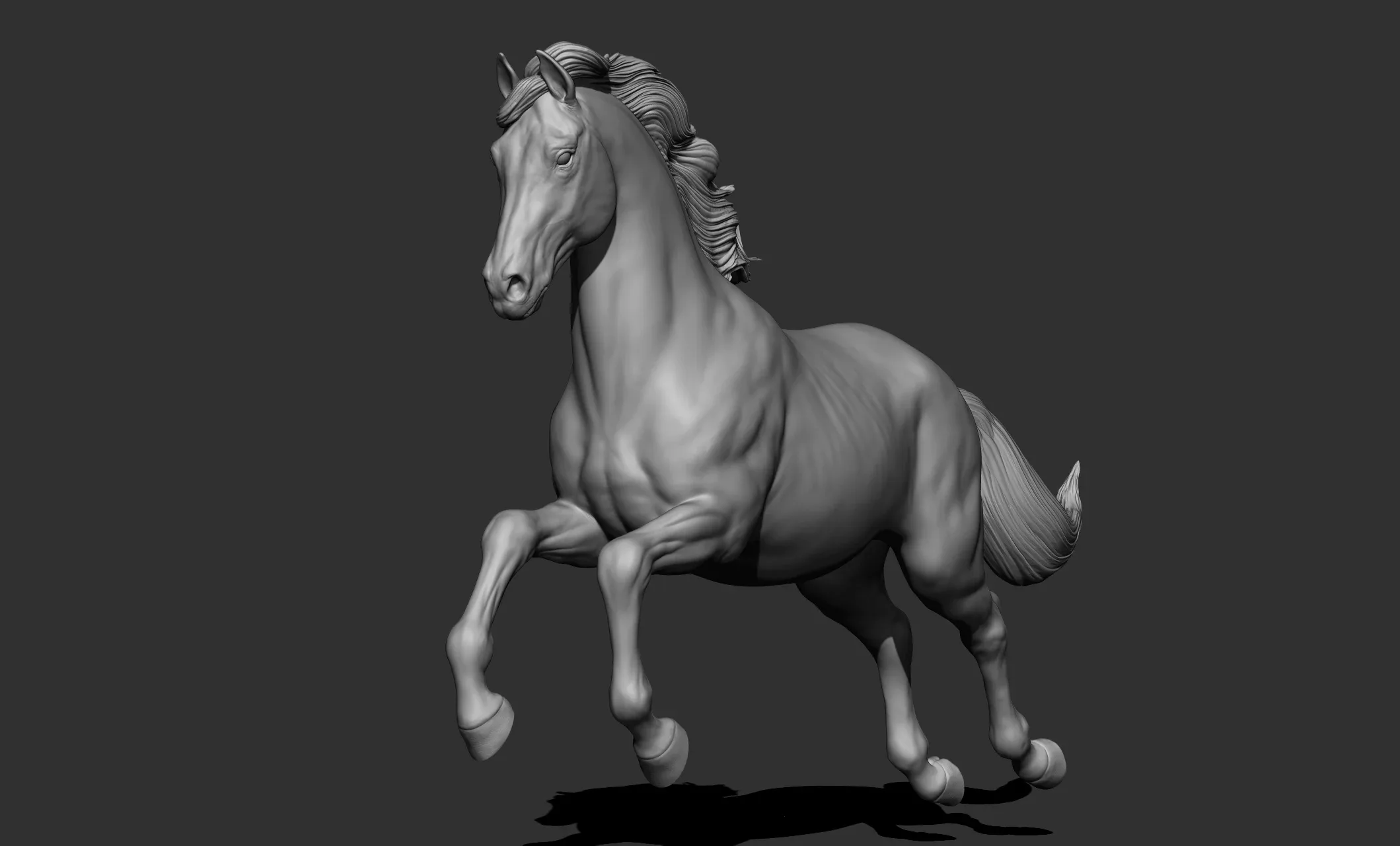 11 horse poses - 3D Models