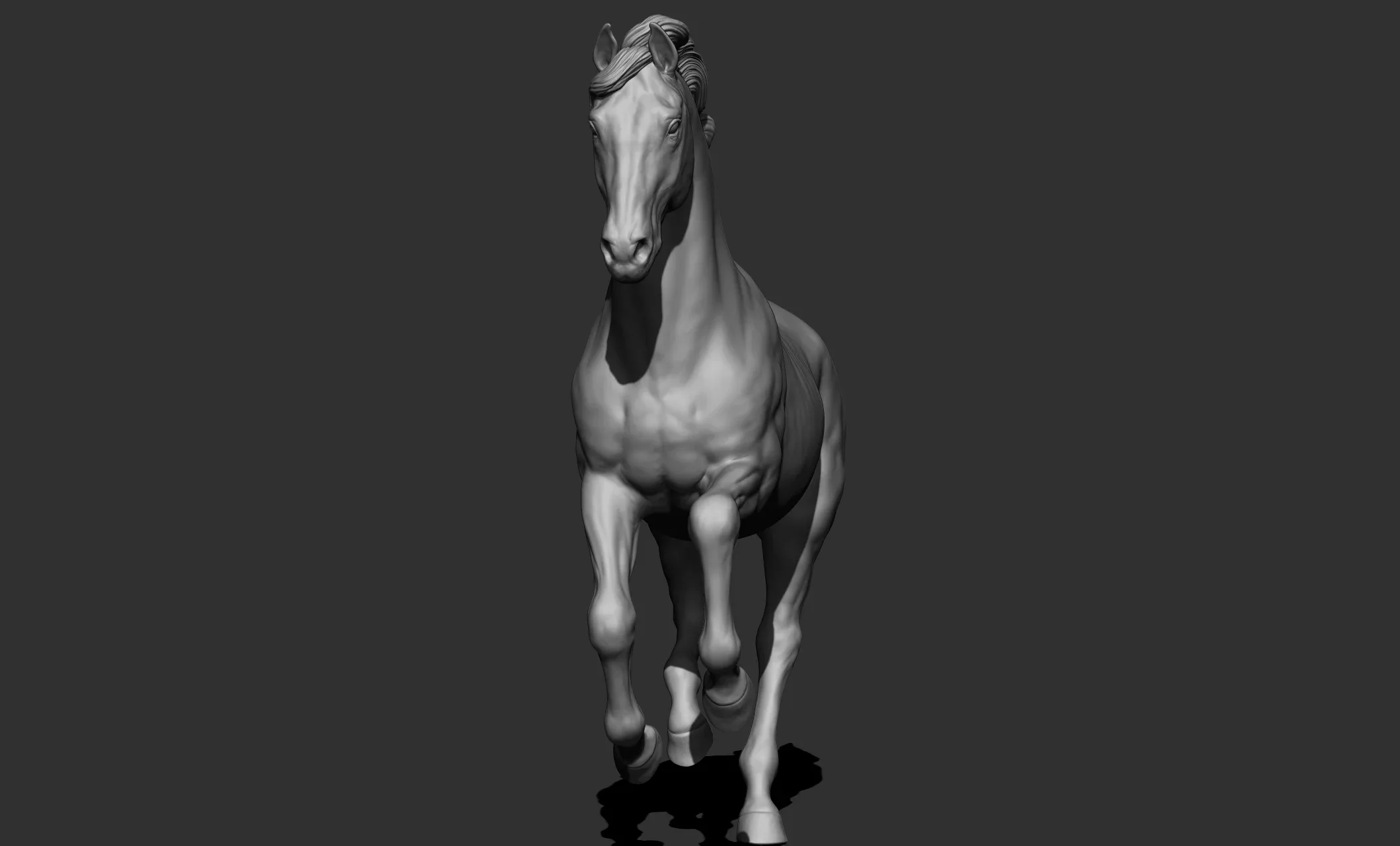 11 horse poses - 3D Models