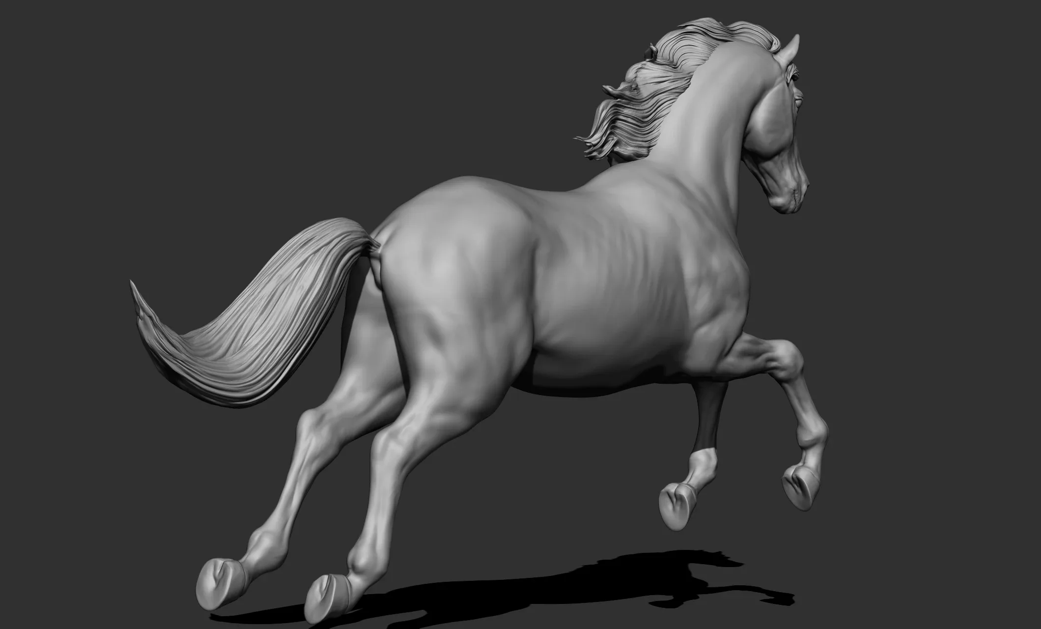 11 horse poses - 3D Models