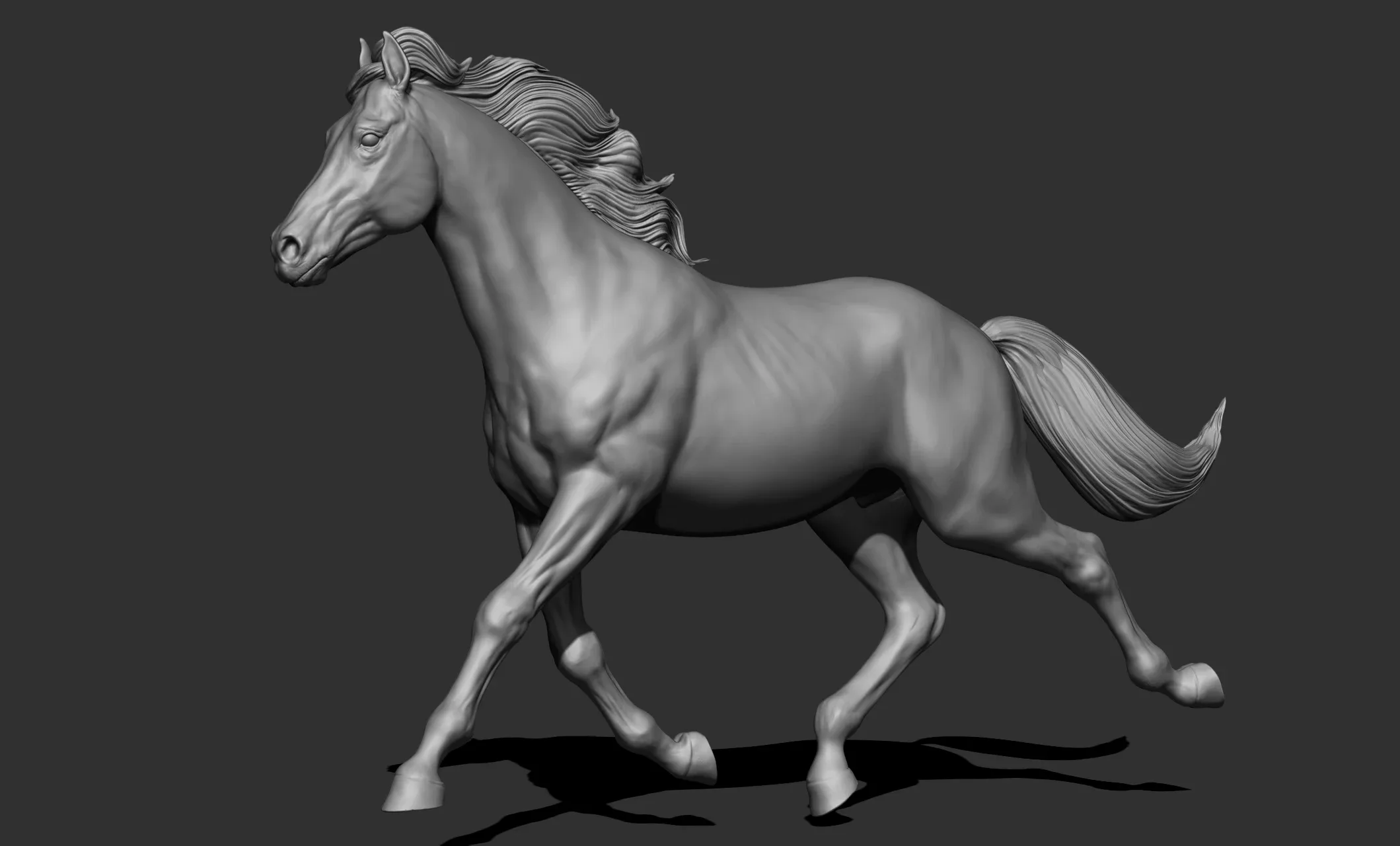 11 horse poses - 3D Models