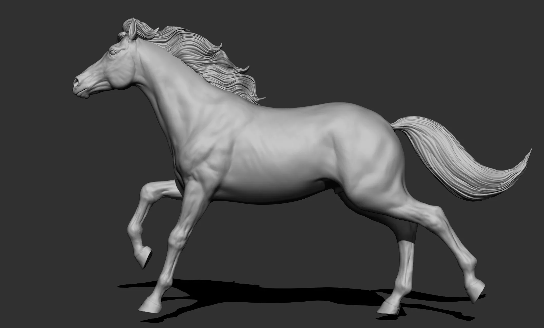 11 horse poses - 3D Models