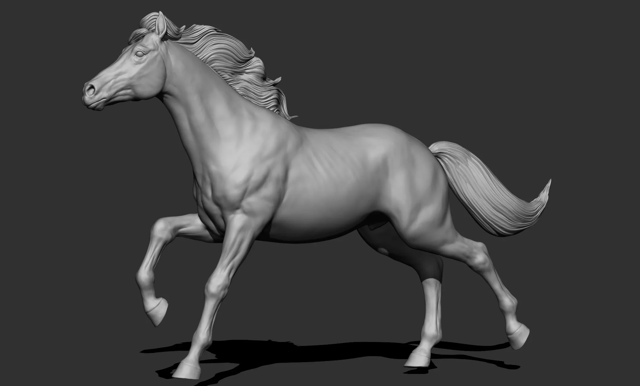 11 horse poses - 3D Models