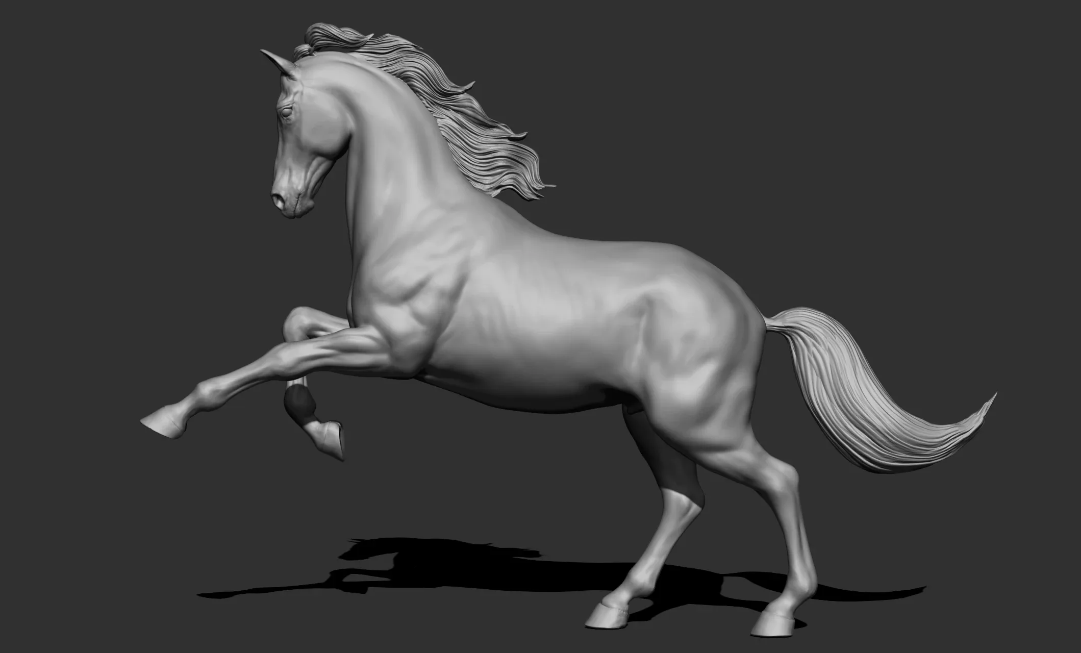 11 horse poses - 3D Models