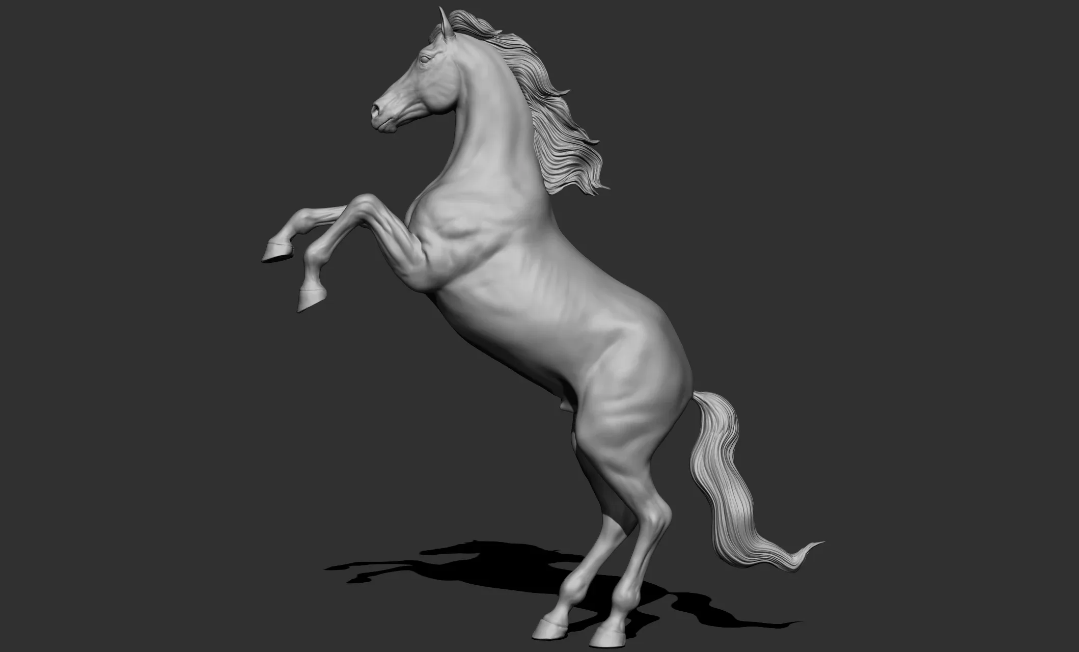 11 horse poses - 3D Models