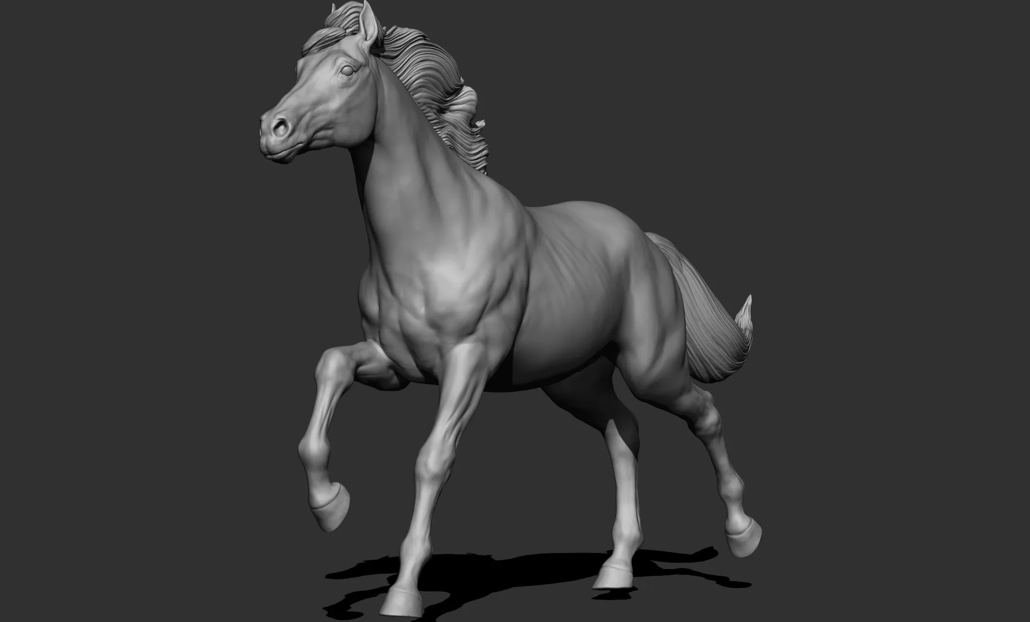 11 horse poses - 3D Models