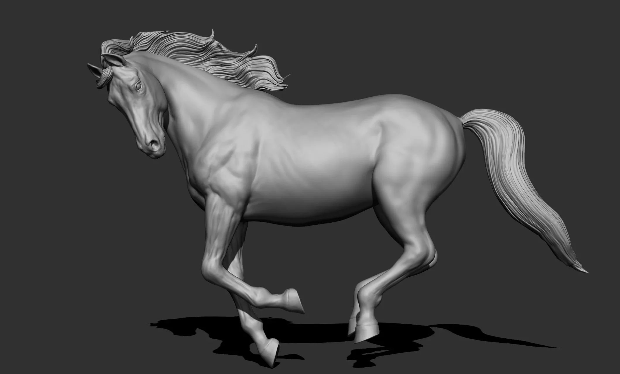 11 horse poses - 3D Models