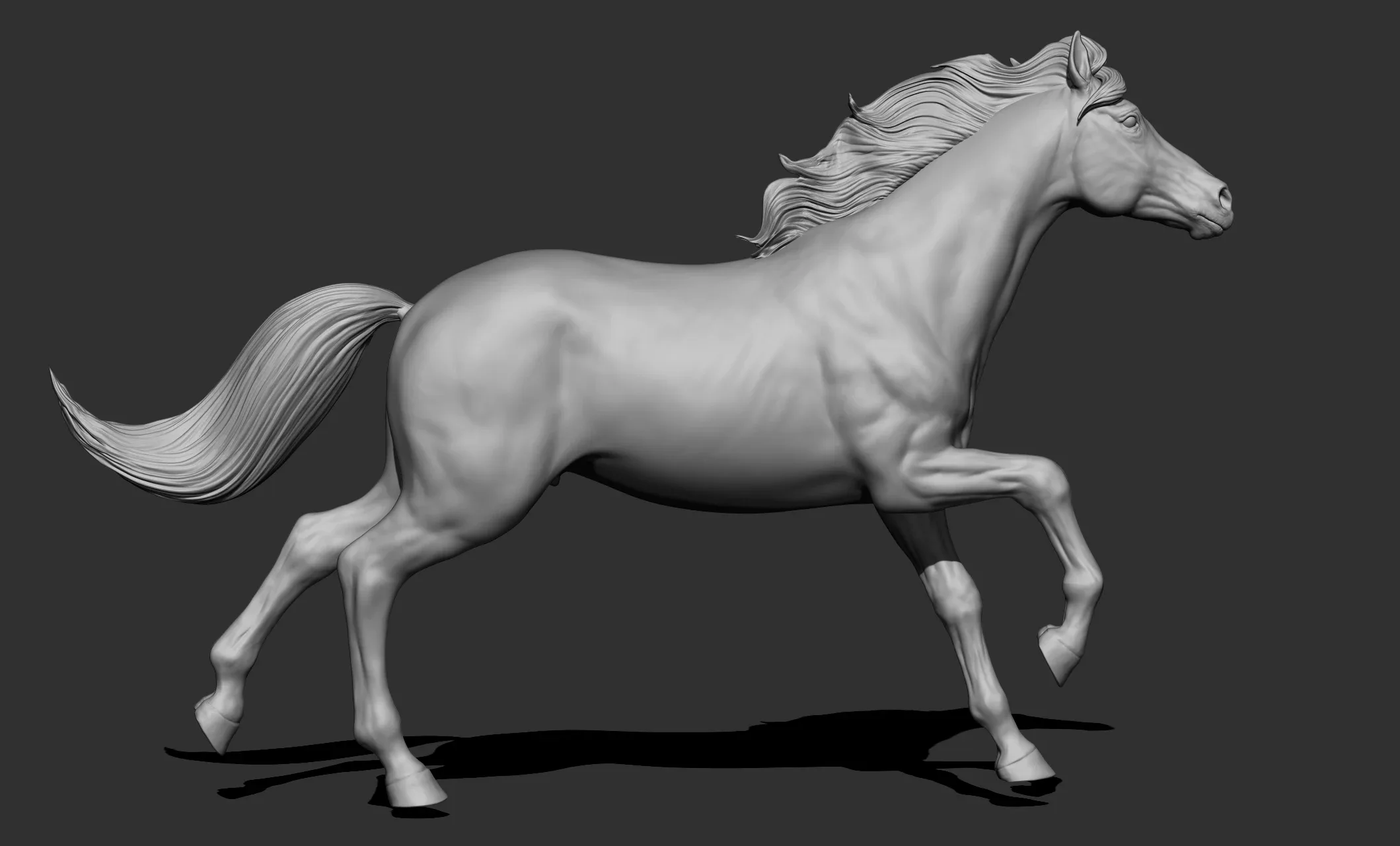 11 horse poses - 3D Models