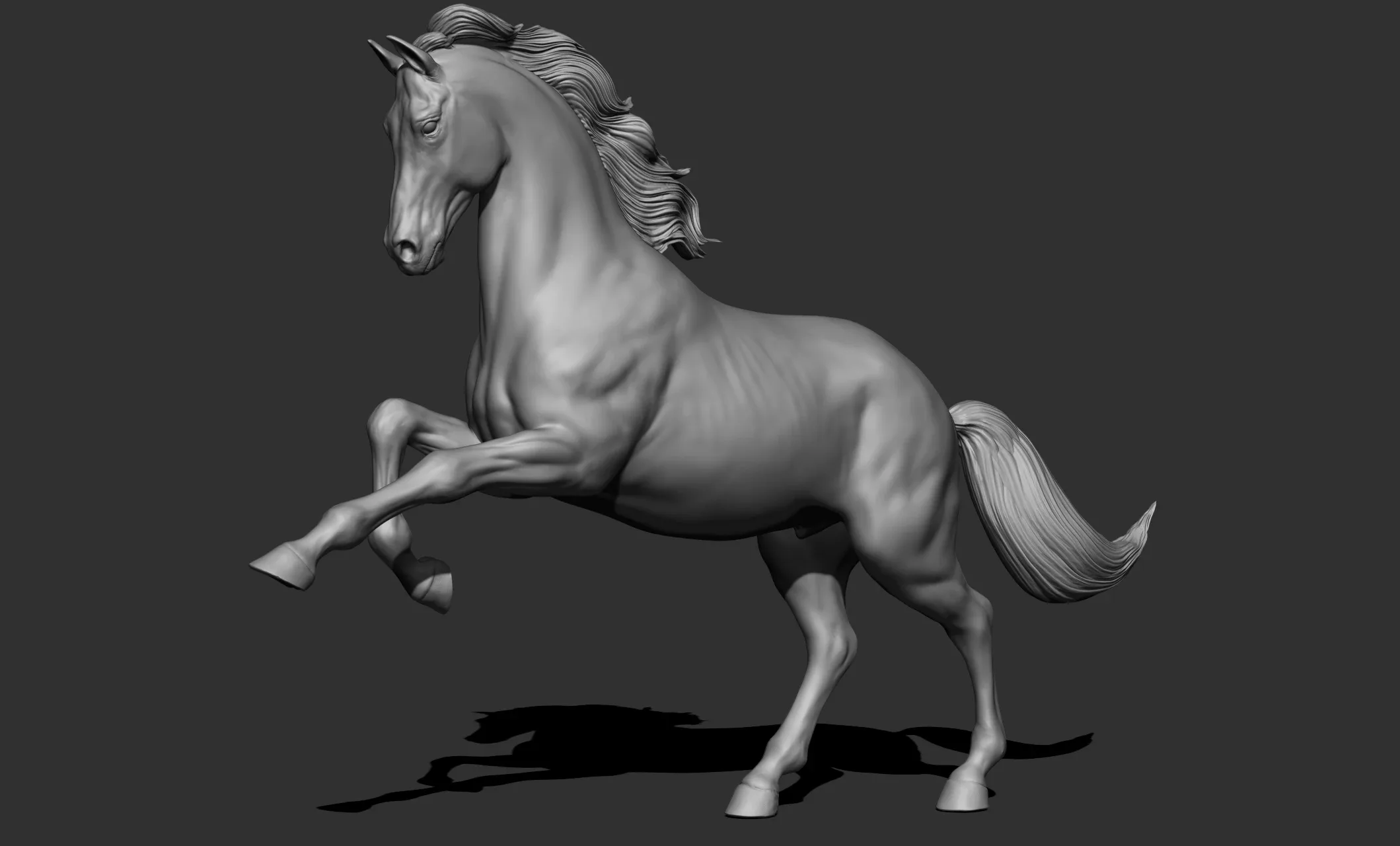 11 horse poses - 3D Models