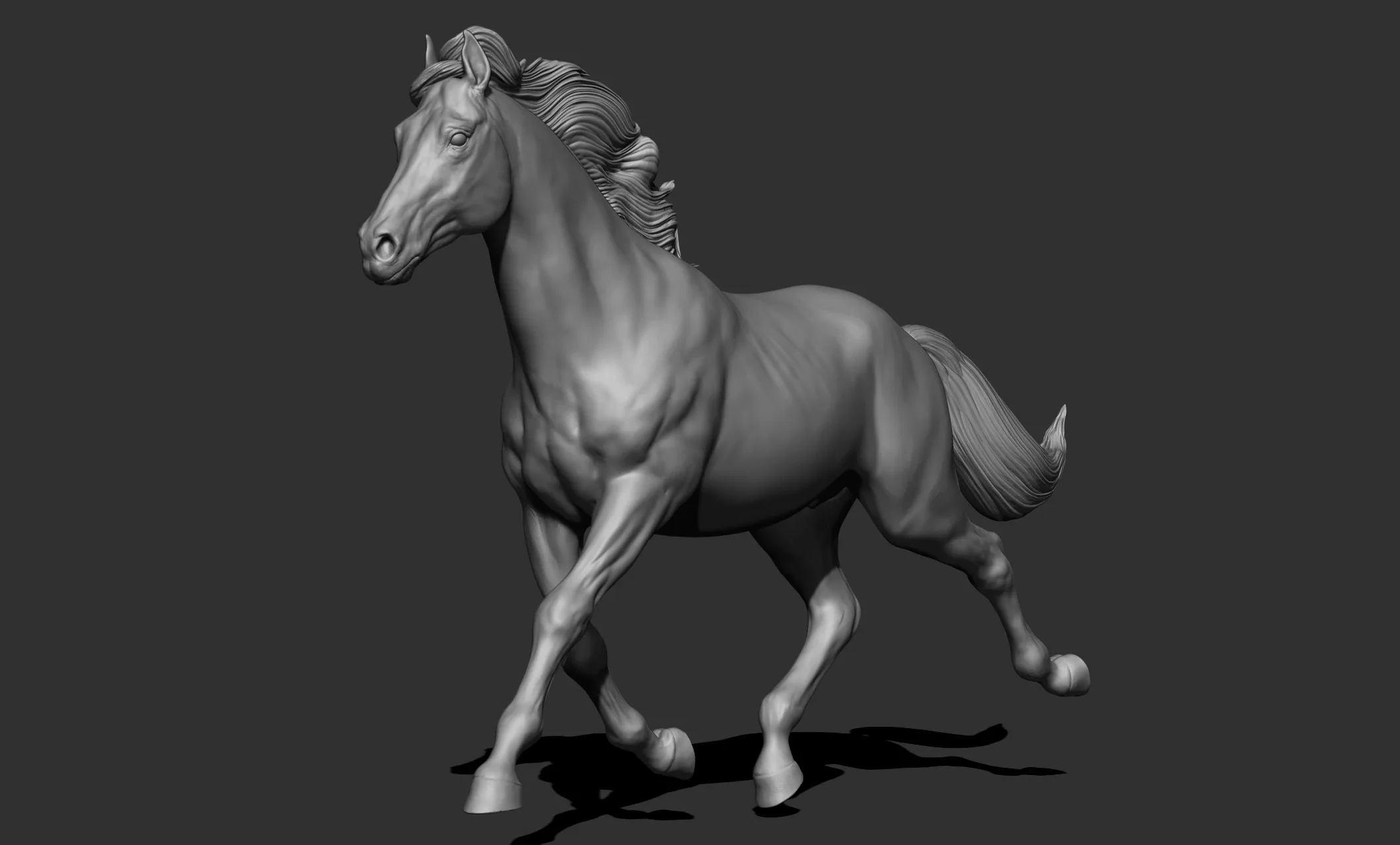 11 horse poses - 3D Models