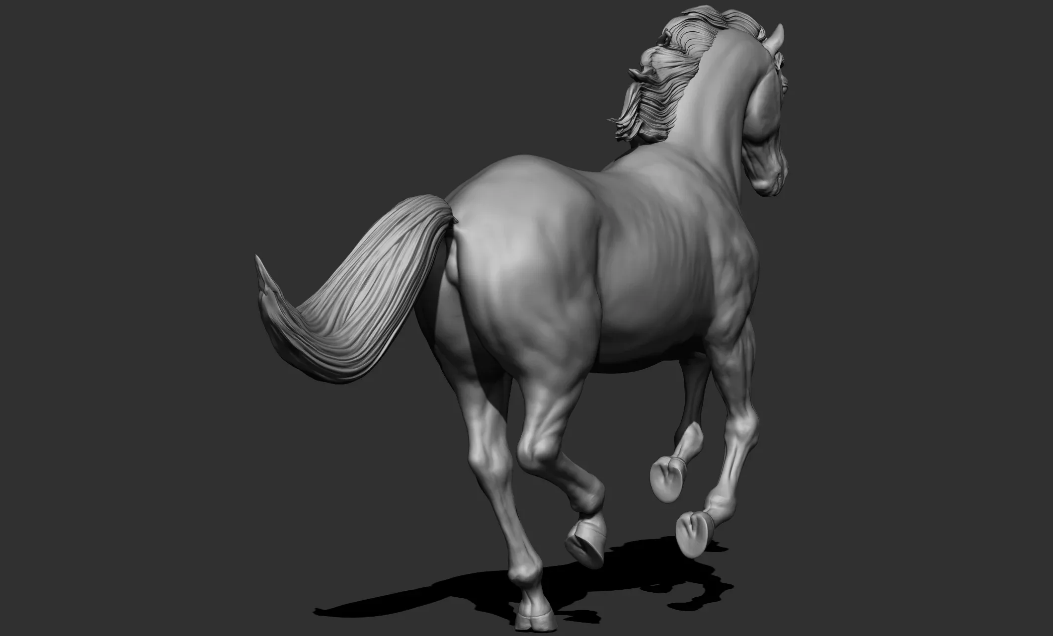 11 horse poses - 3D Models