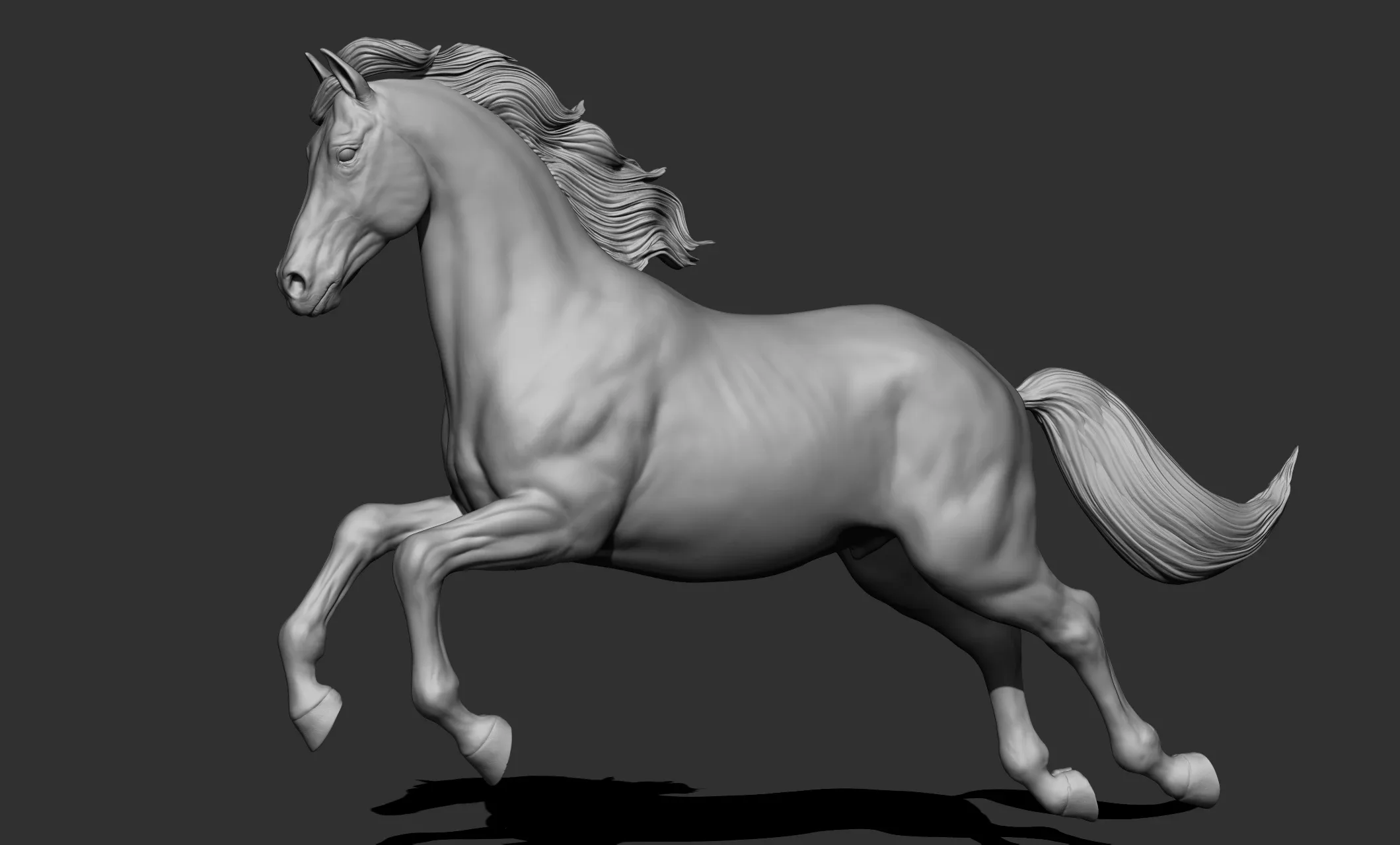 11 horse poses - 3D Models