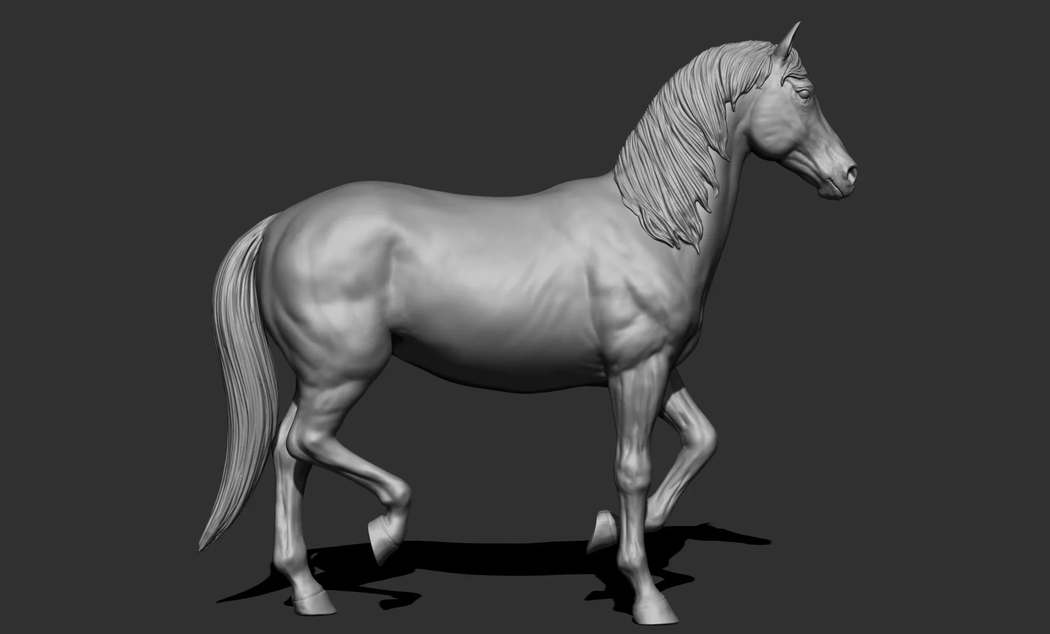 11 horse poses - 3D Models