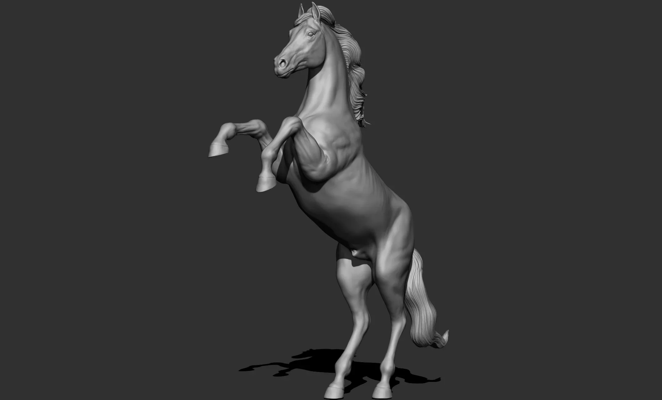 11 horse poses - 3D Models