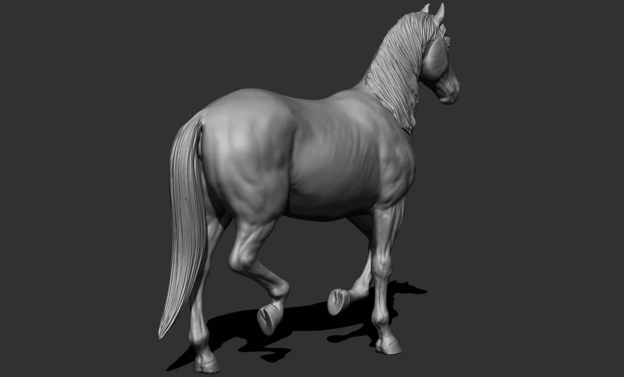 11 horse poses - 3D Models