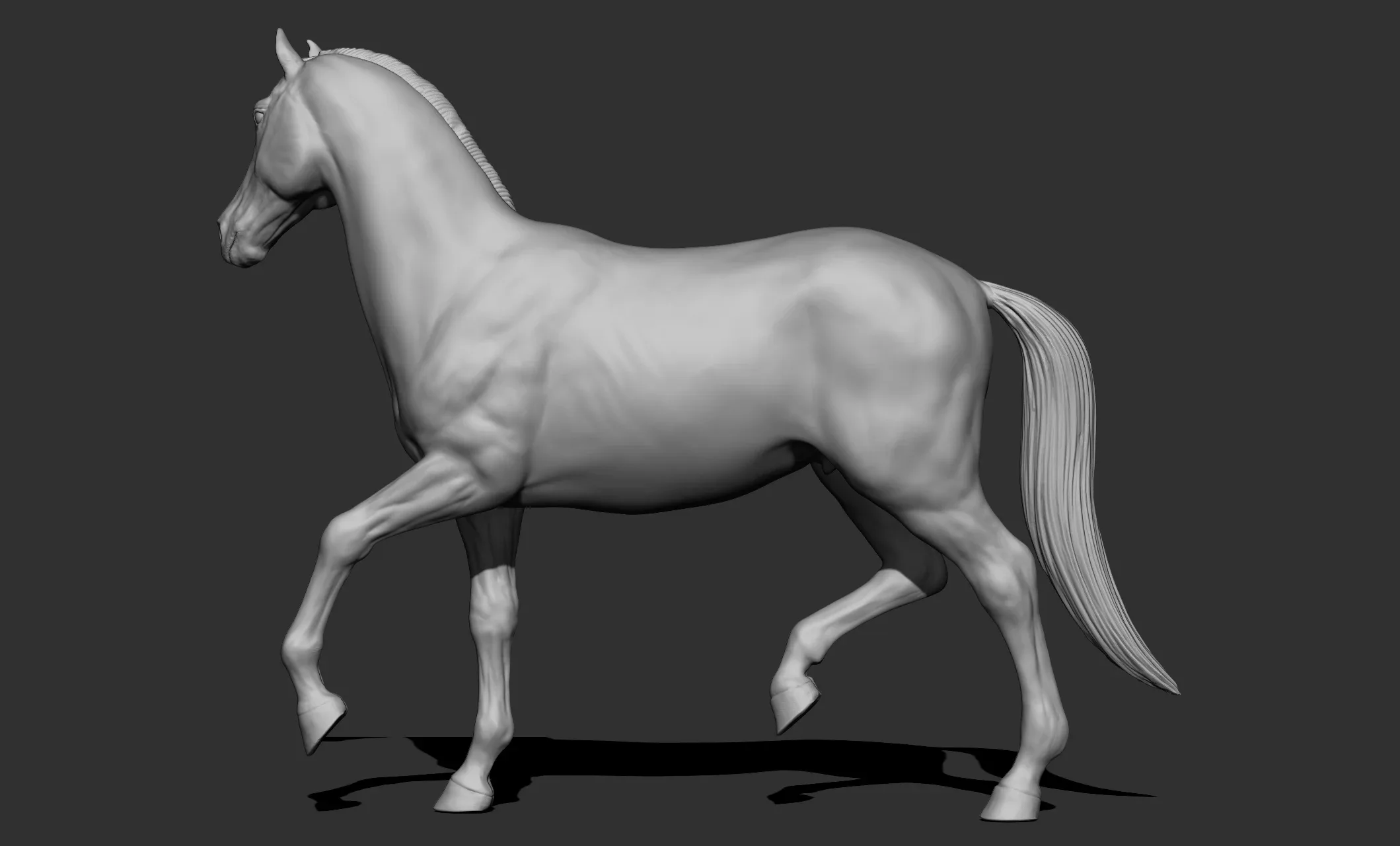 11 horse poses - 3D Models