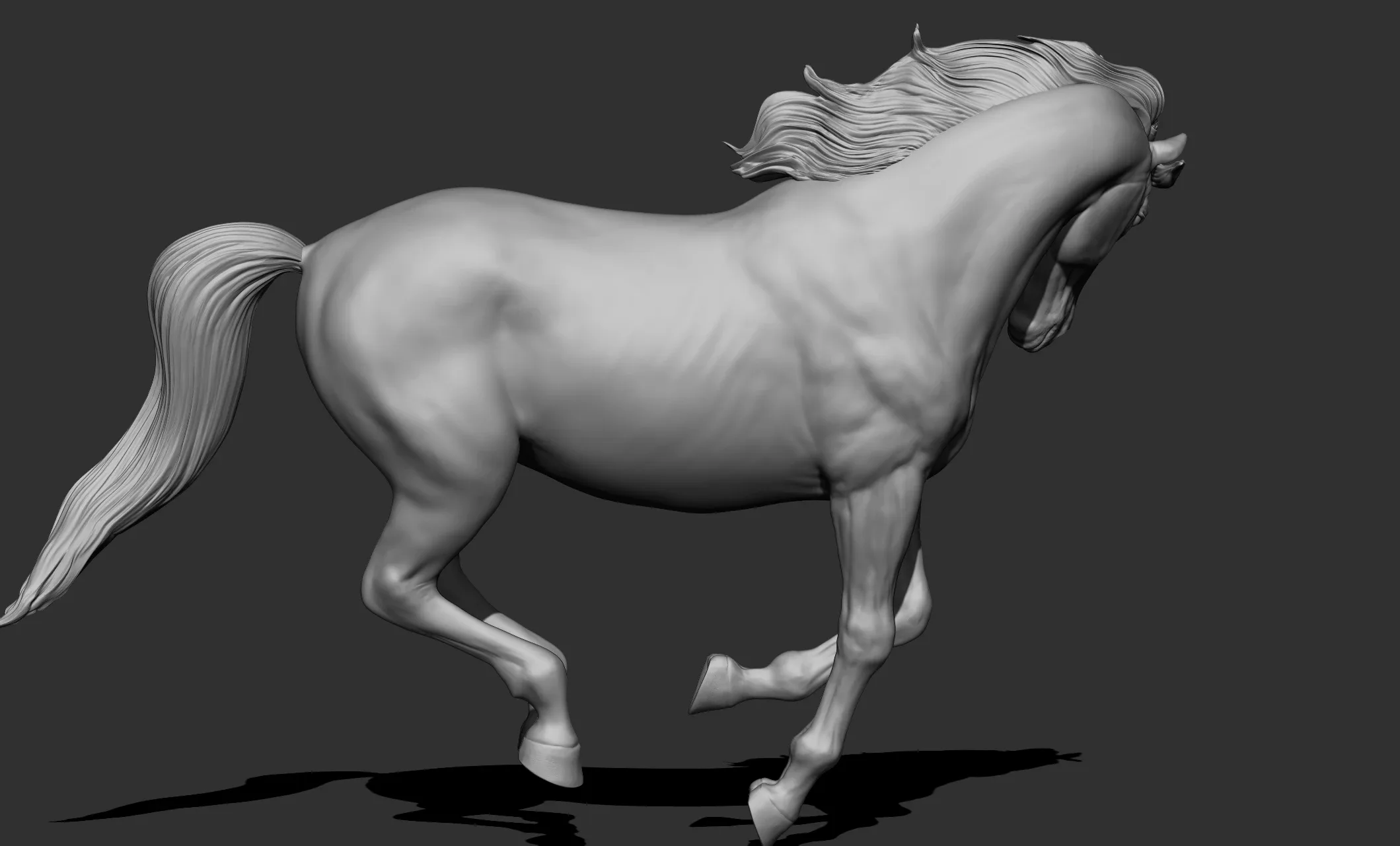 11 horse poses - 3D Models