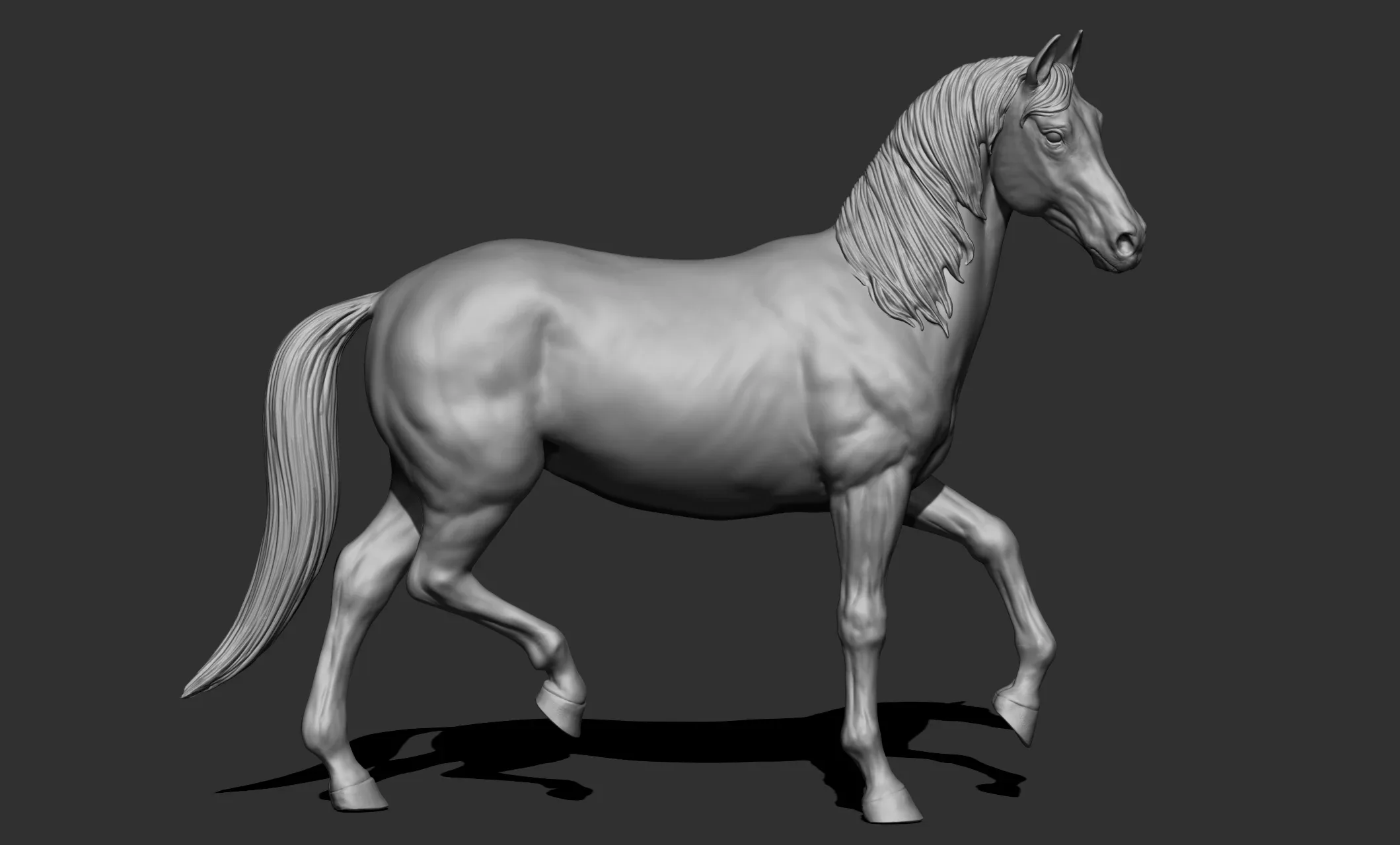 11 horse poses - 3D Models