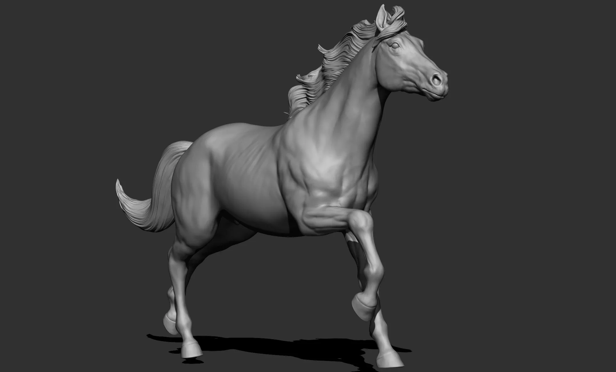 11 horse poses - 3D Models