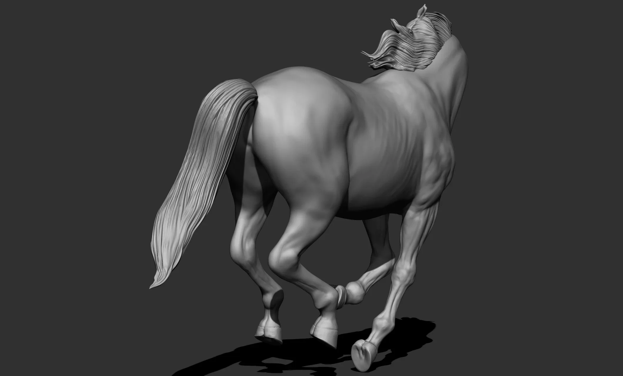 11 horse poses - 3D Models