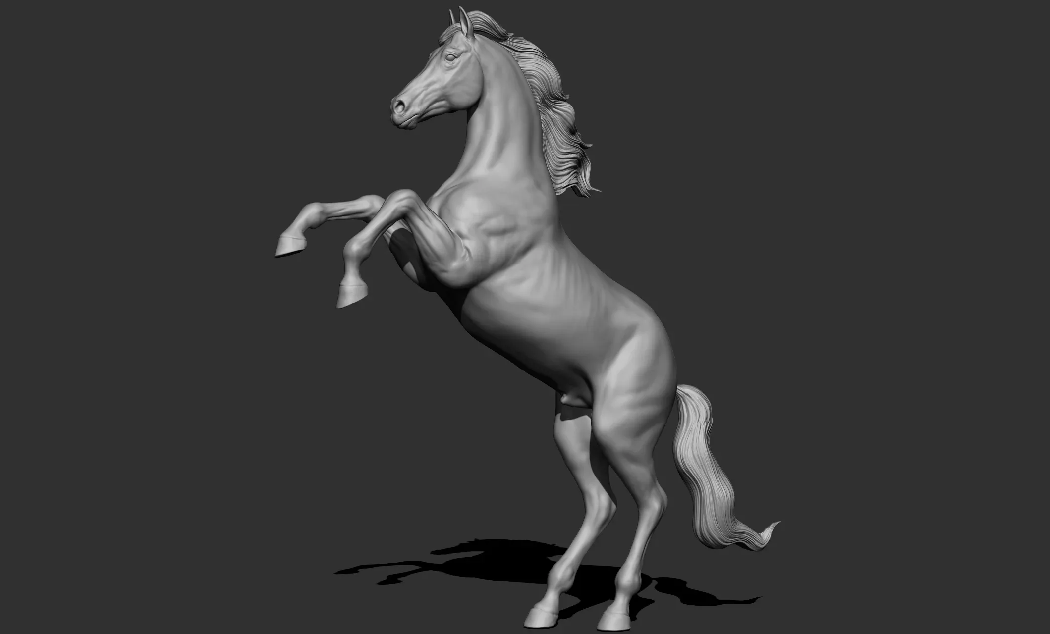 11 horse poses - 3D Models