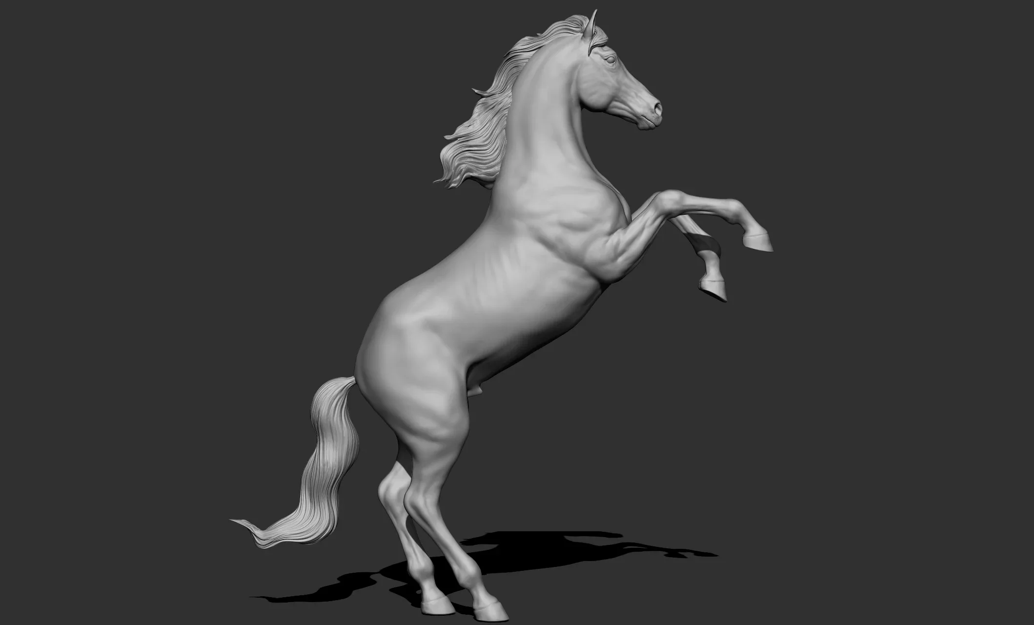 11 horse poses - 3D Models