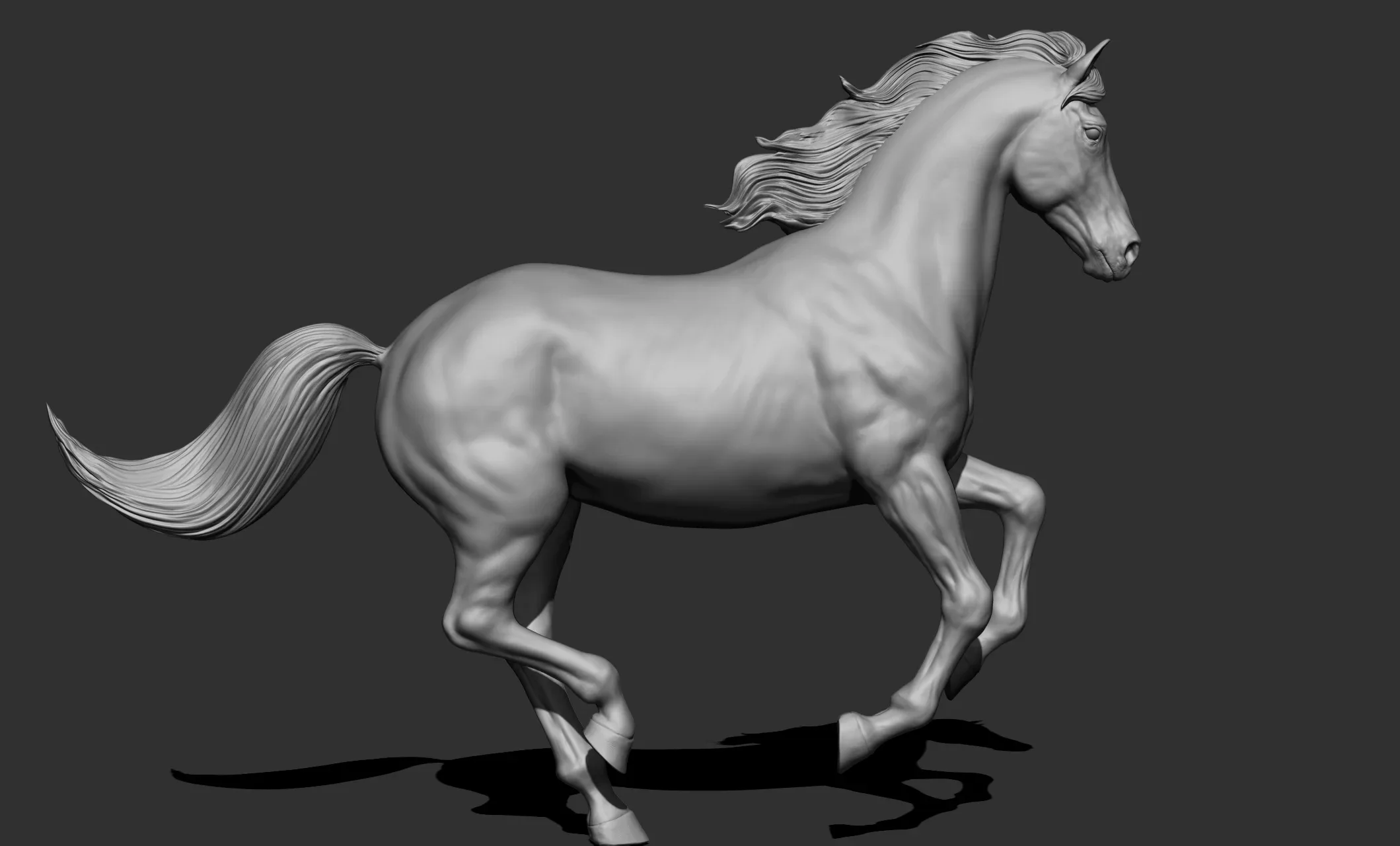 11 horse poses - 3D Models