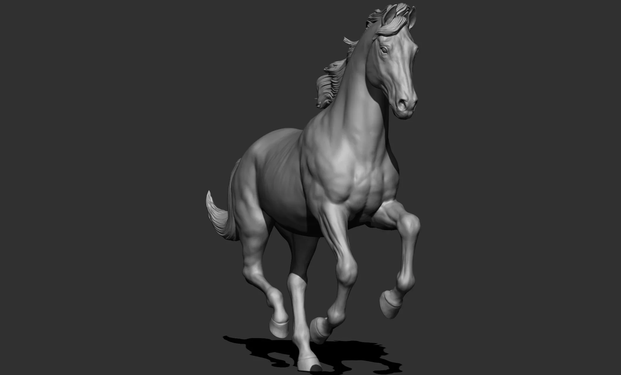 11 horse poses - 3D Models