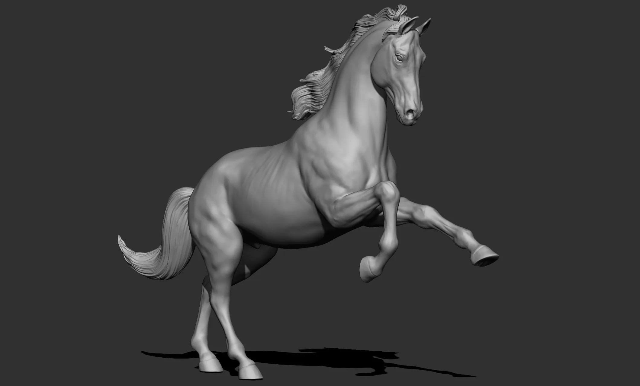 11 horse poses - 3D Models