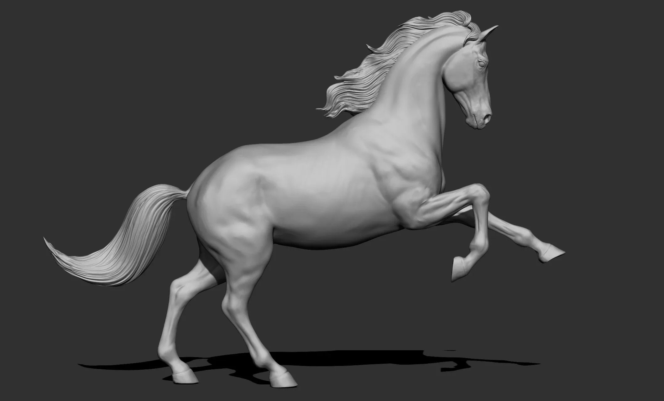 11 horse poses - 3D Models