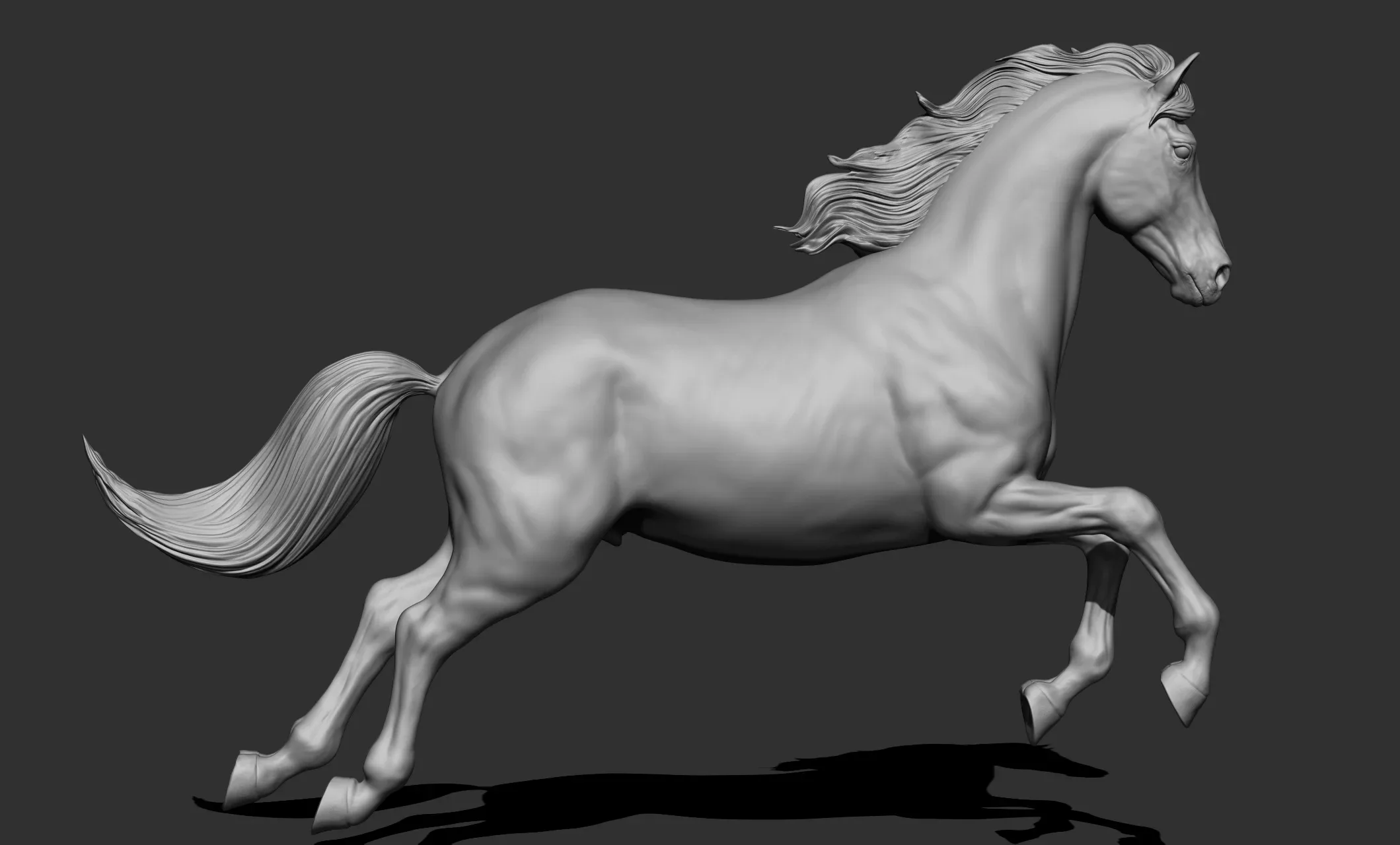 11 horse poses - 3D Models