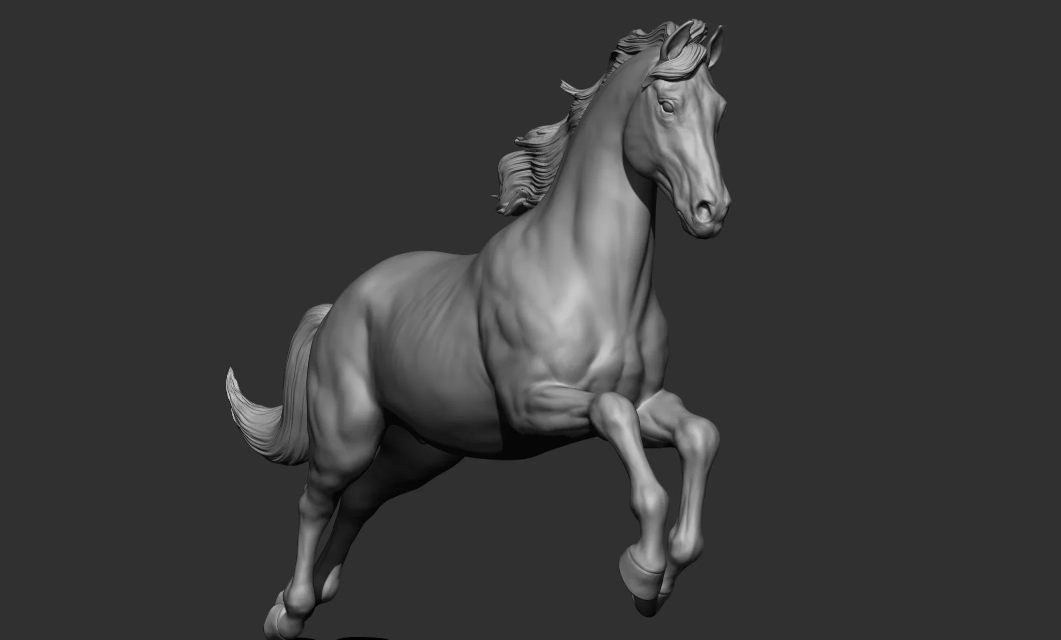 11 horse poses - 3D Models