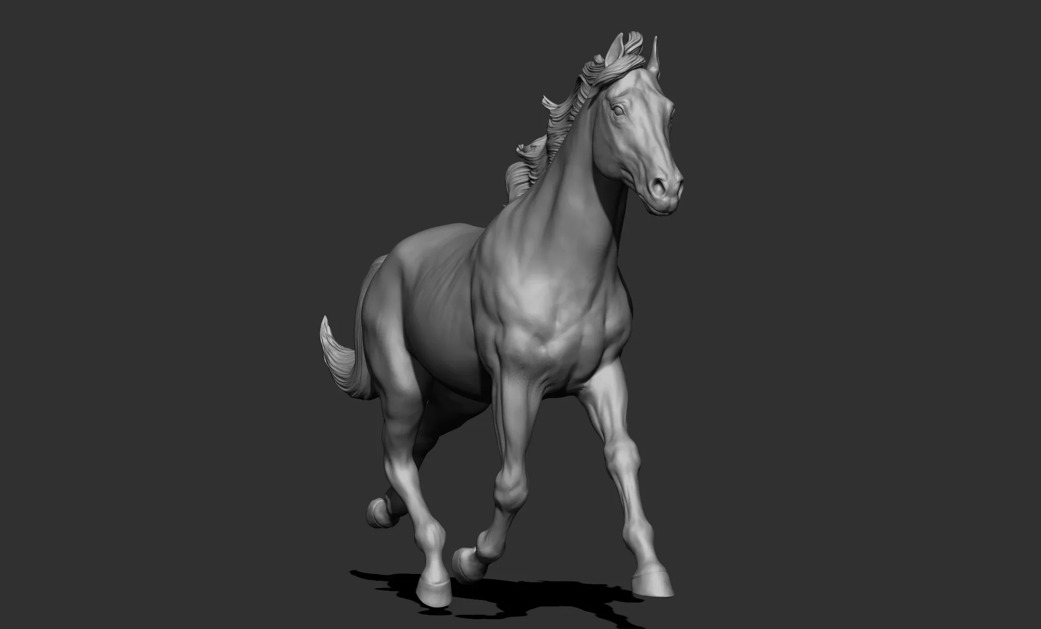 11 horse poses - 3D Models