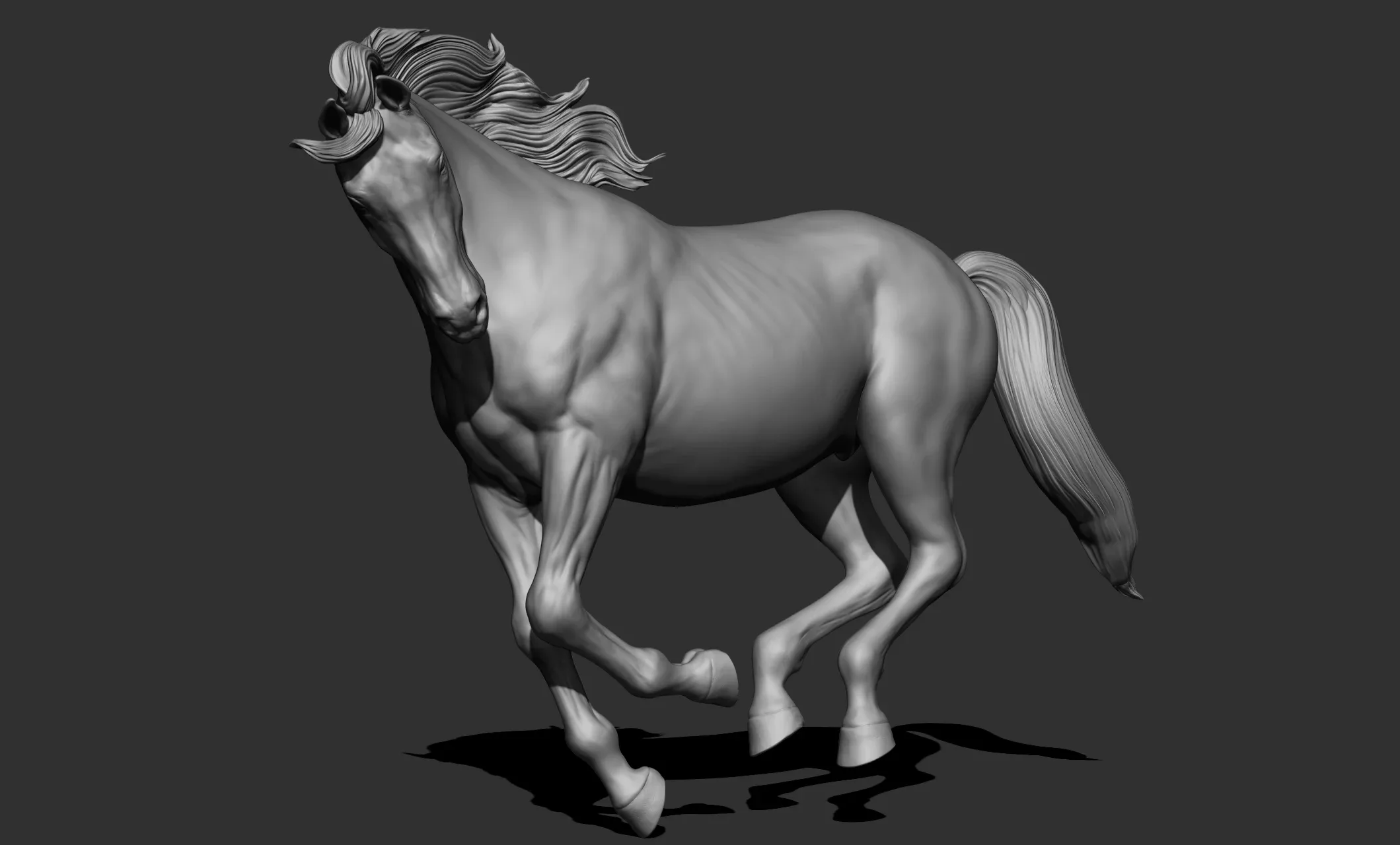 11 horse poses - 3D Models