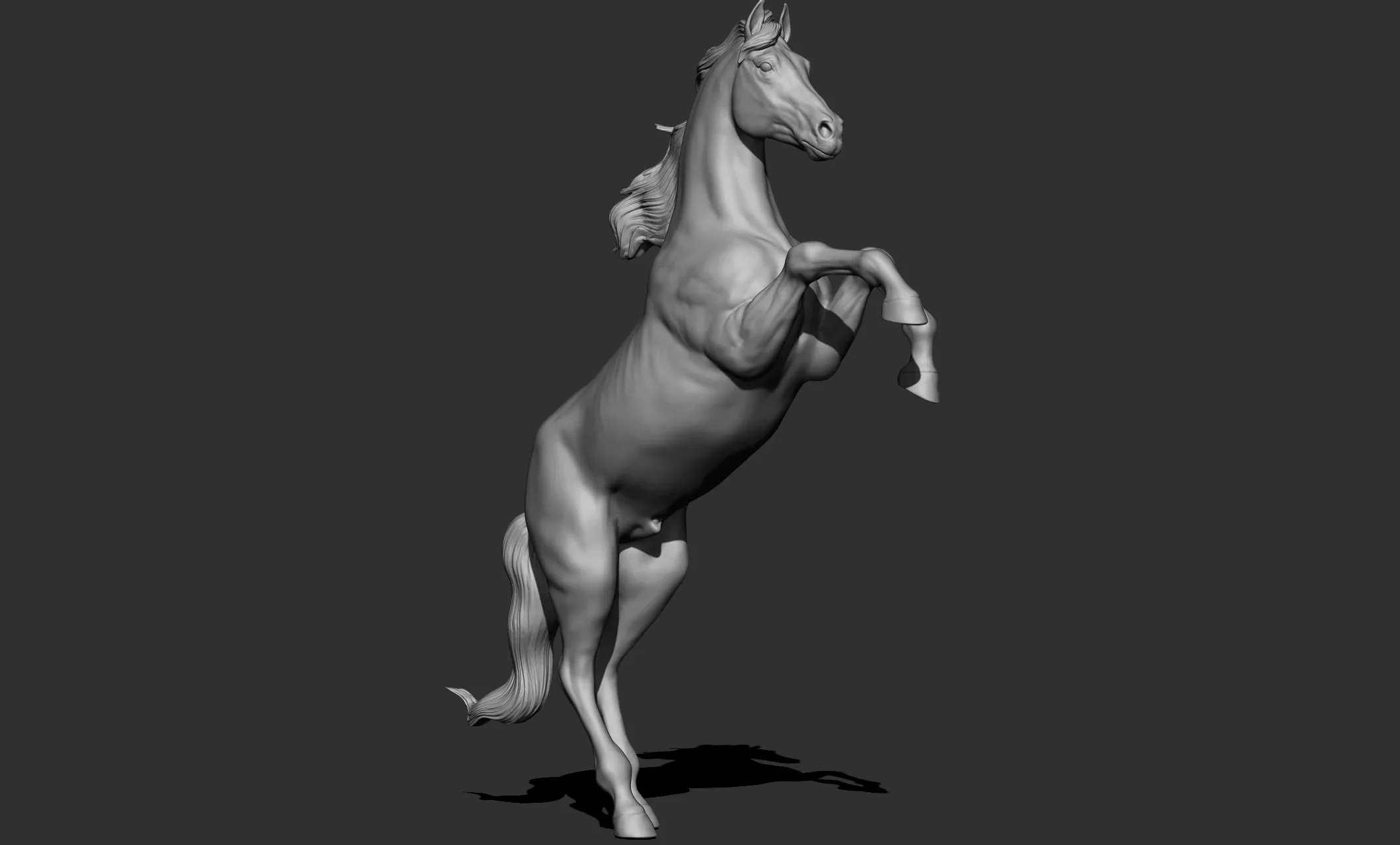 11 horse poses - 3D Models