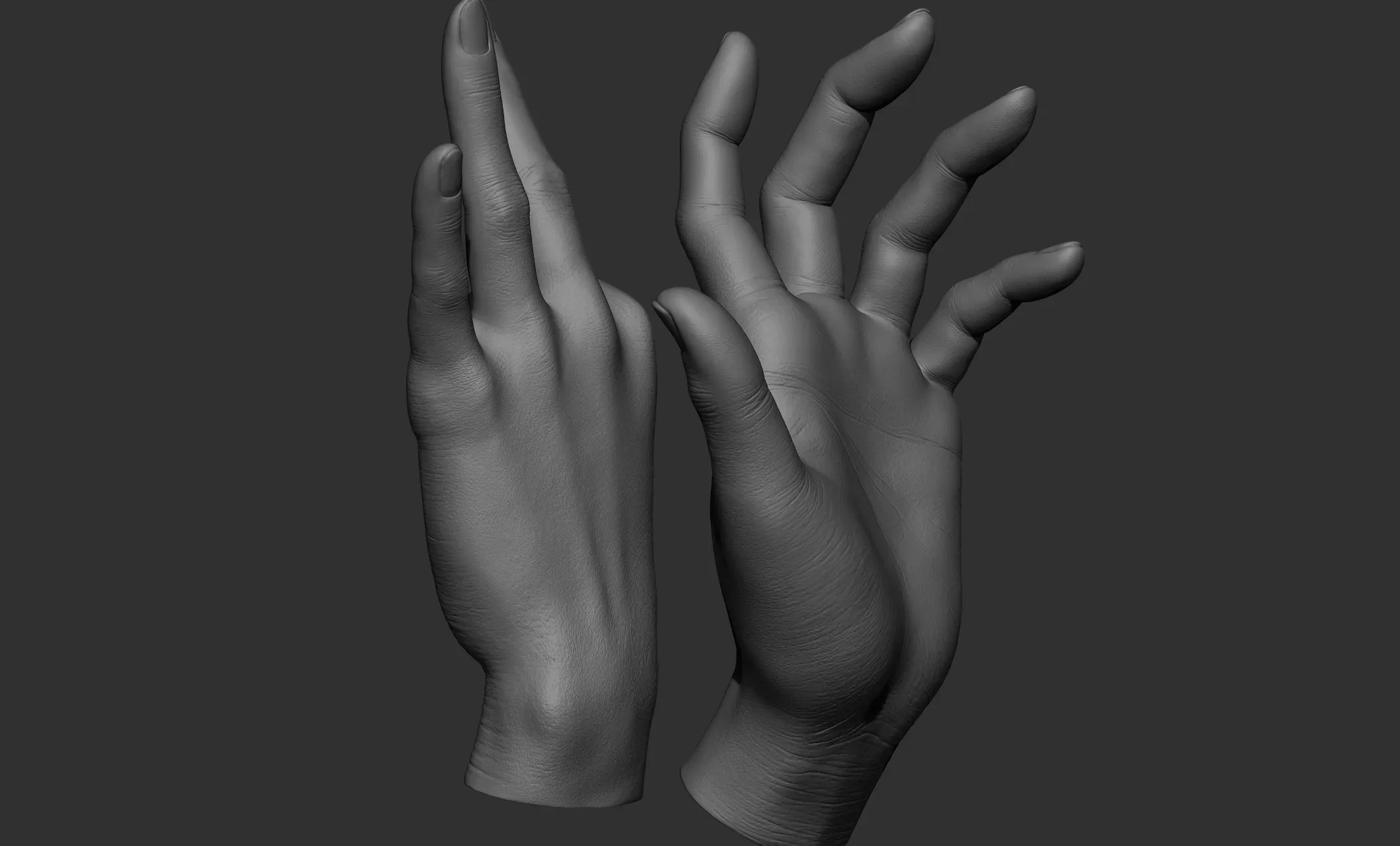 17 Female hand poses