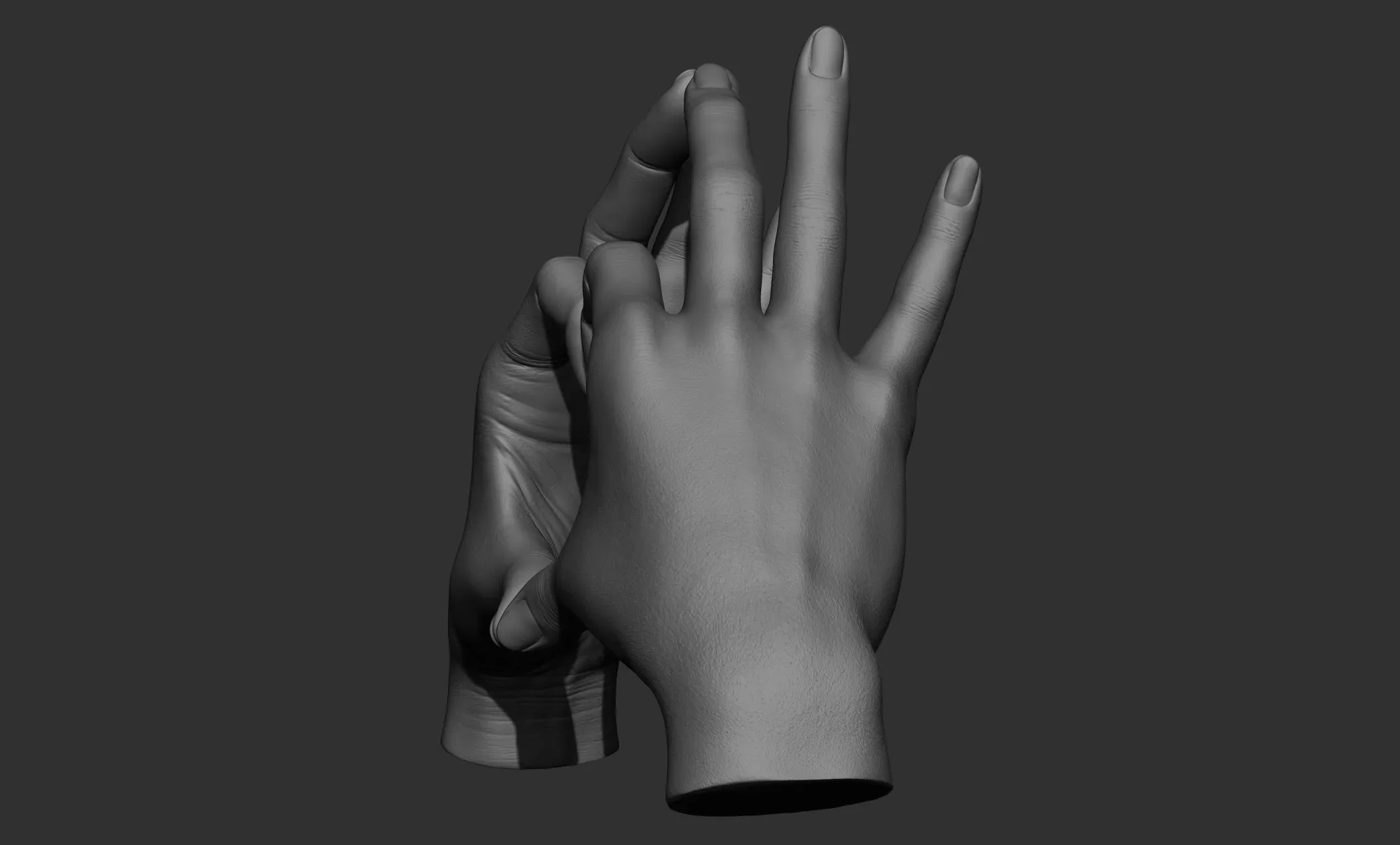 17 Female hand poses