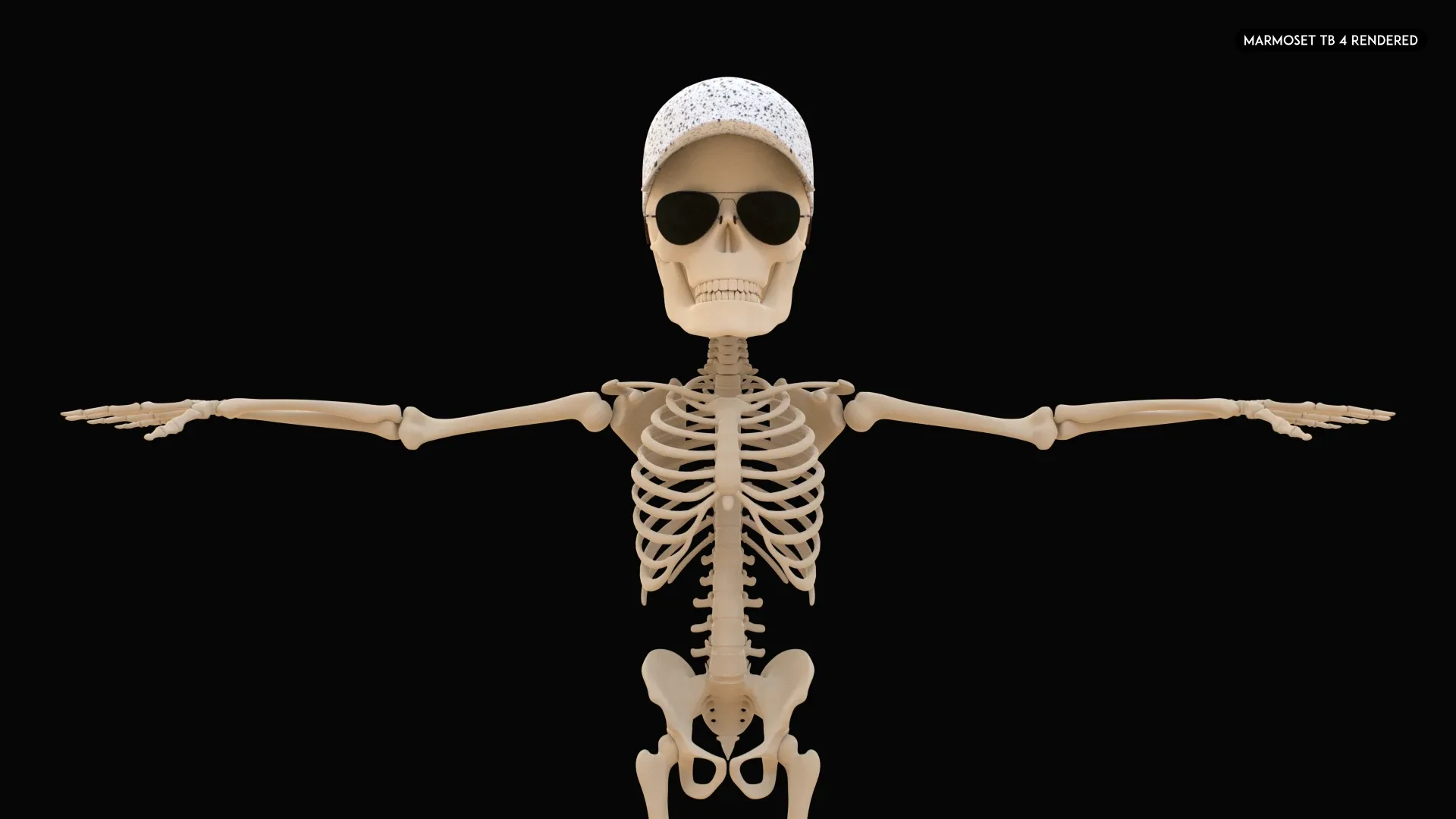 Human Cartoon Skeleton Stylized