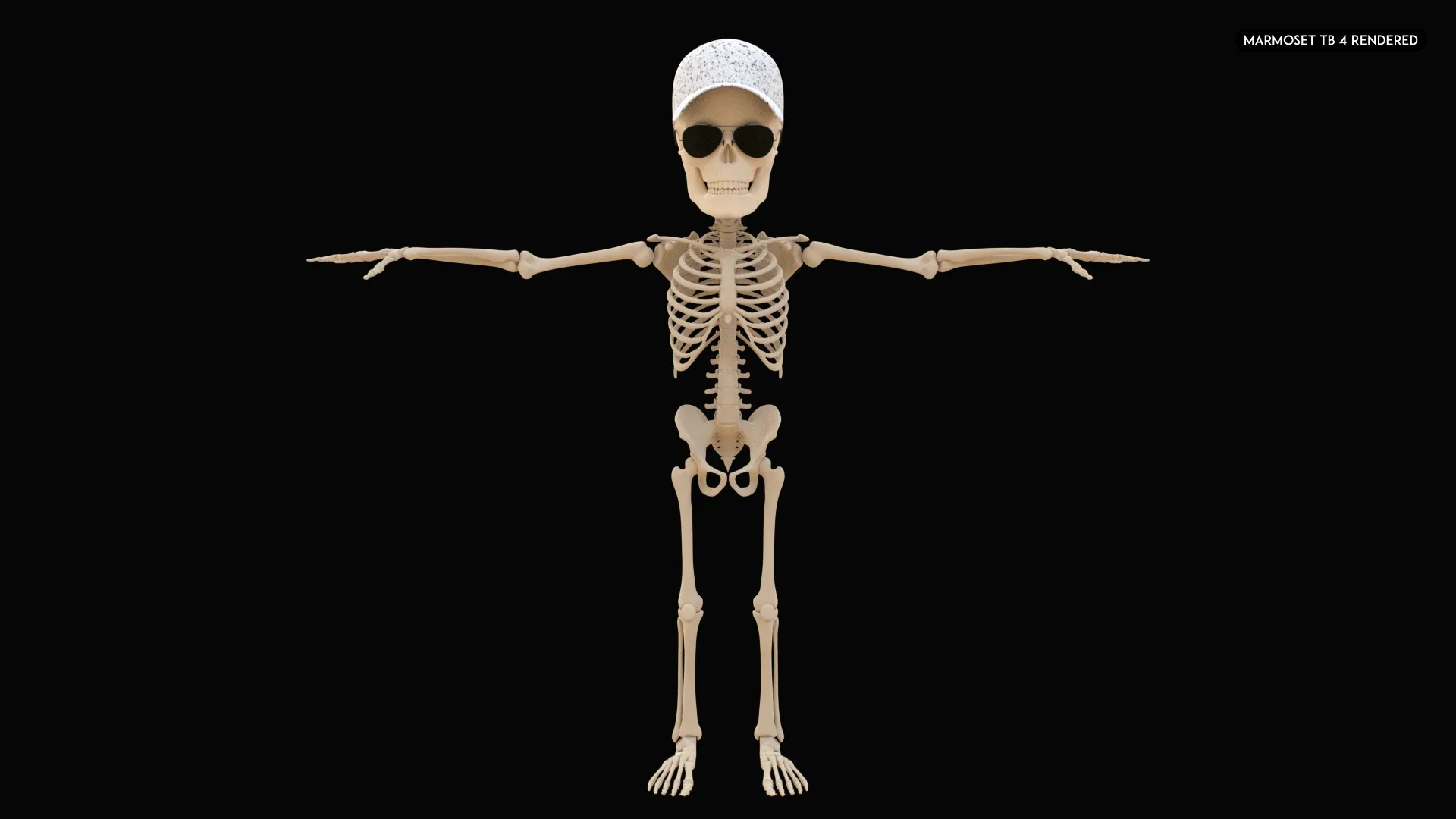 Human Cartoon Skeleton Stylized