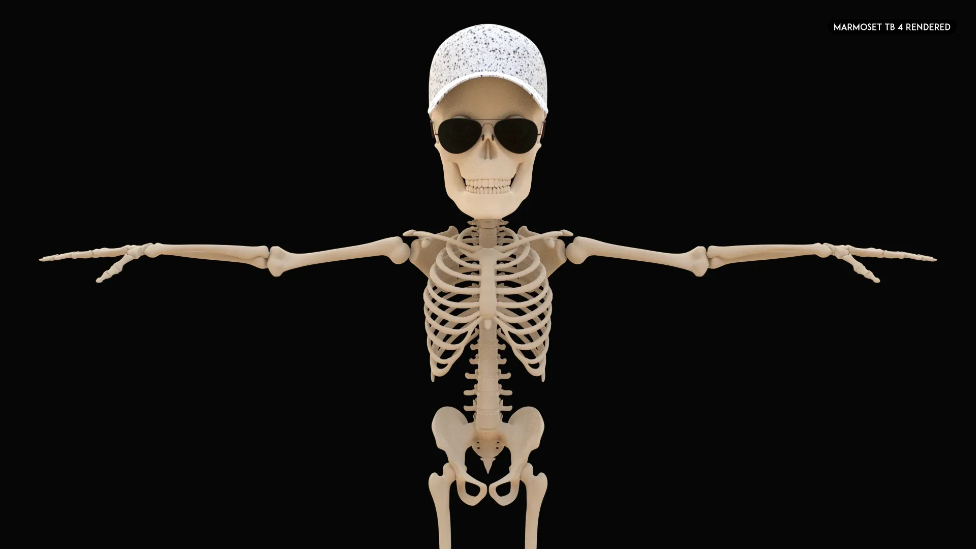 Human Cartoon Skeleton Stylized